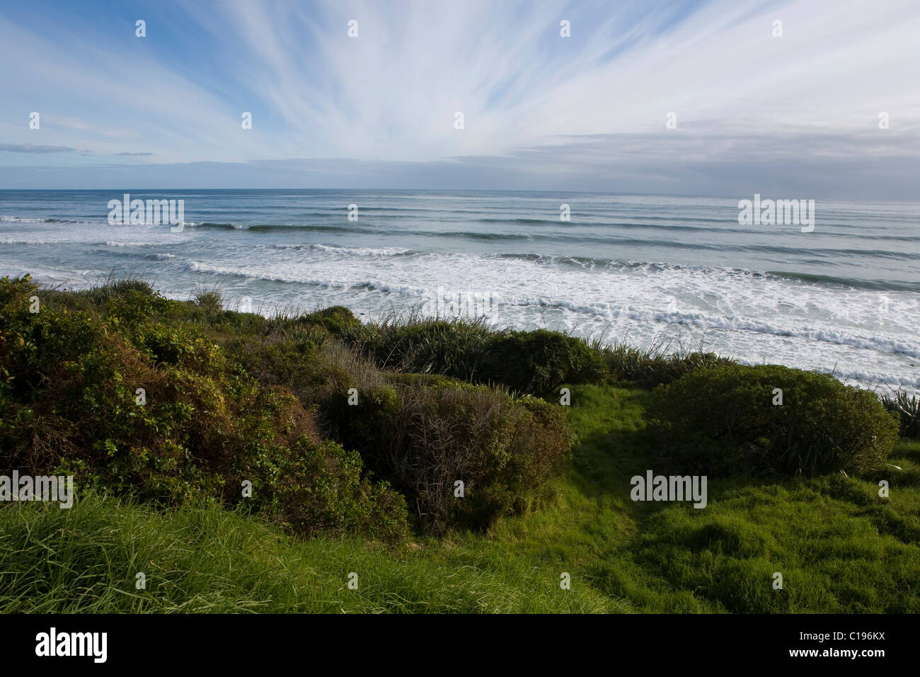 Overgrown green beach on the west coast, Karamea, South Island, New Zealand Stock Photo