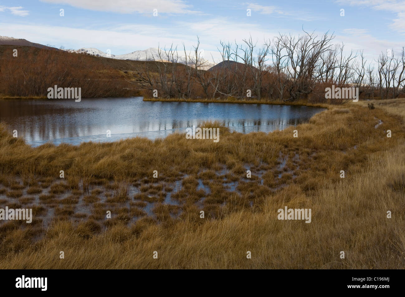 Small lake in a brown grassy landscape, Tekapo, Canterbury, South Island, New Zealand Stock Photo