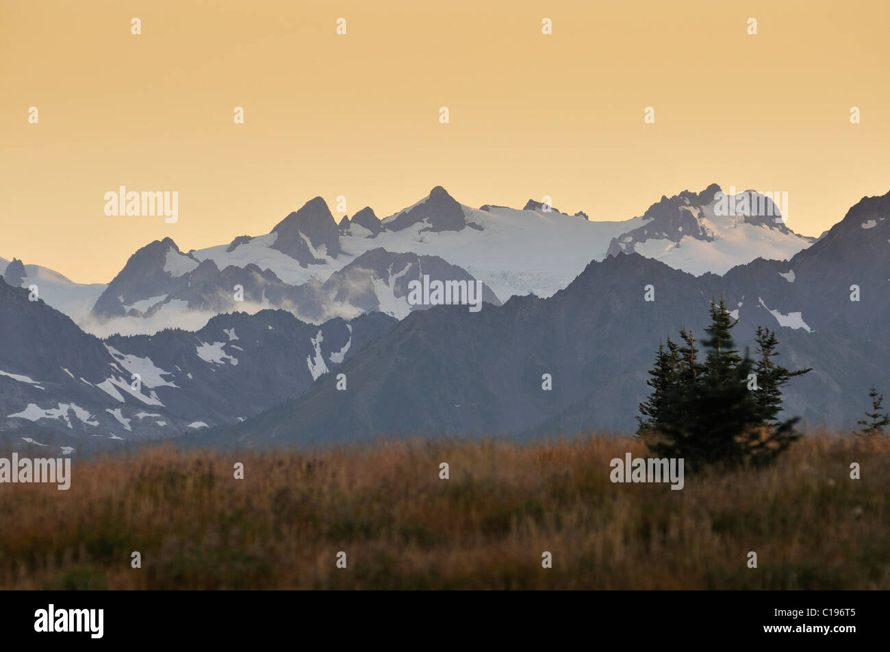 Glaciated chain of mountains with Mt Olympus, Olympic Peninsula, Nationalpark, Washington, USA, North America Stock Photo