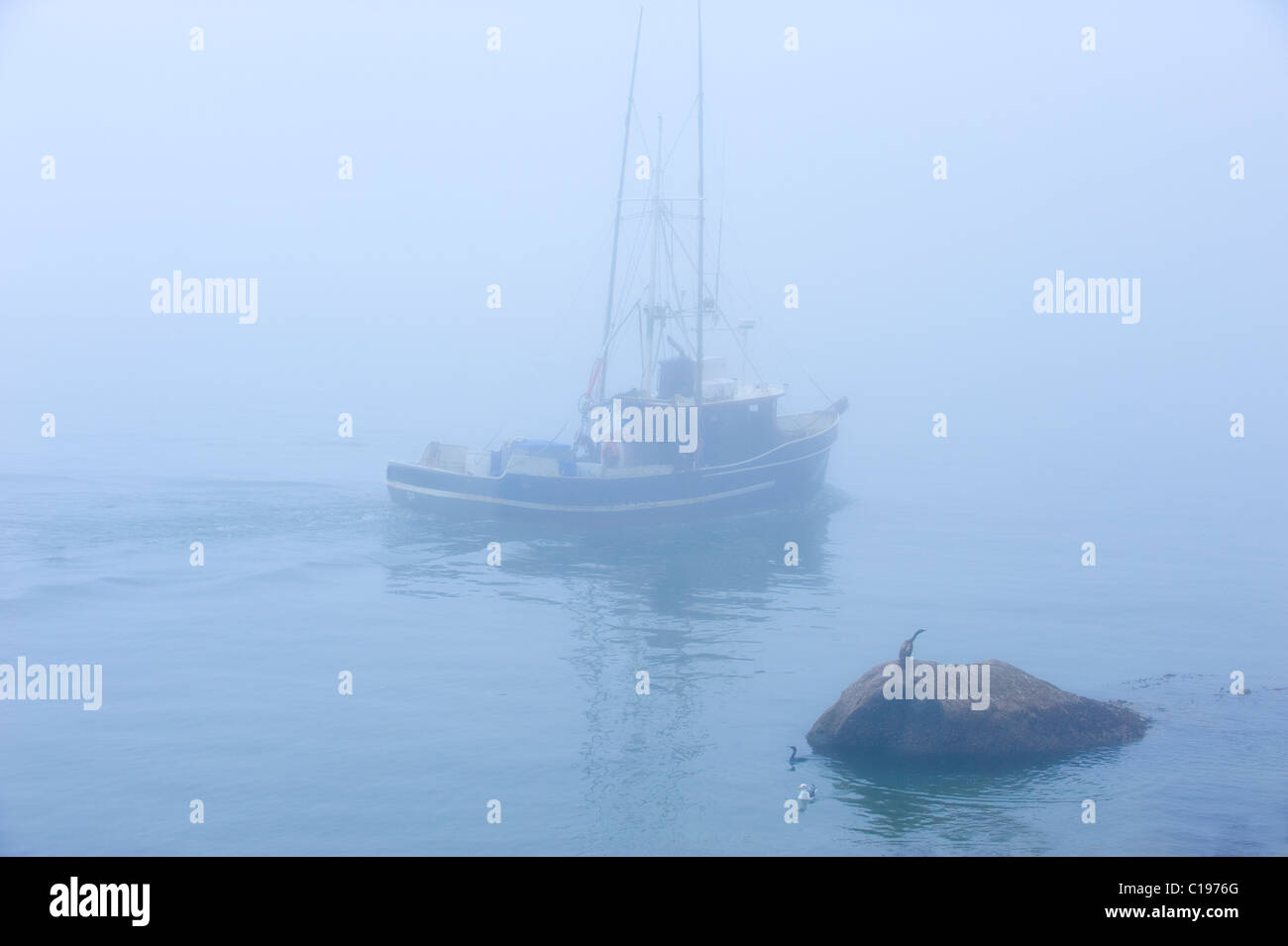 Small fishing boat with morning fog, Moro Bay, California, USA, North America Stock Photo