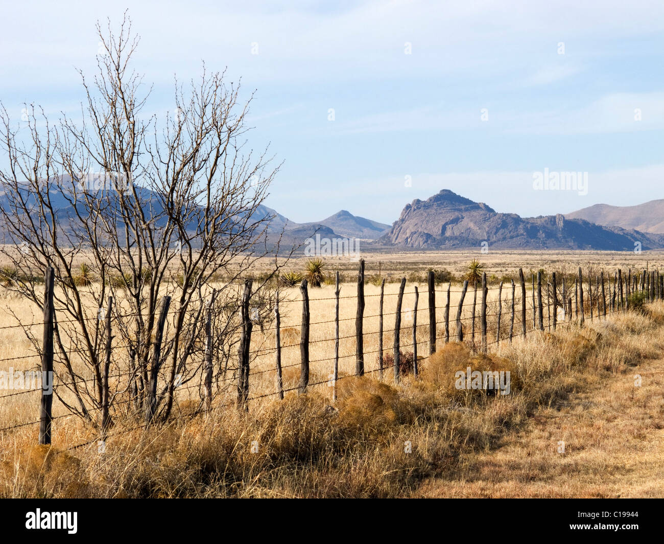 Scenic view of Iron Mountain near Marathon, in the Big Bend region of