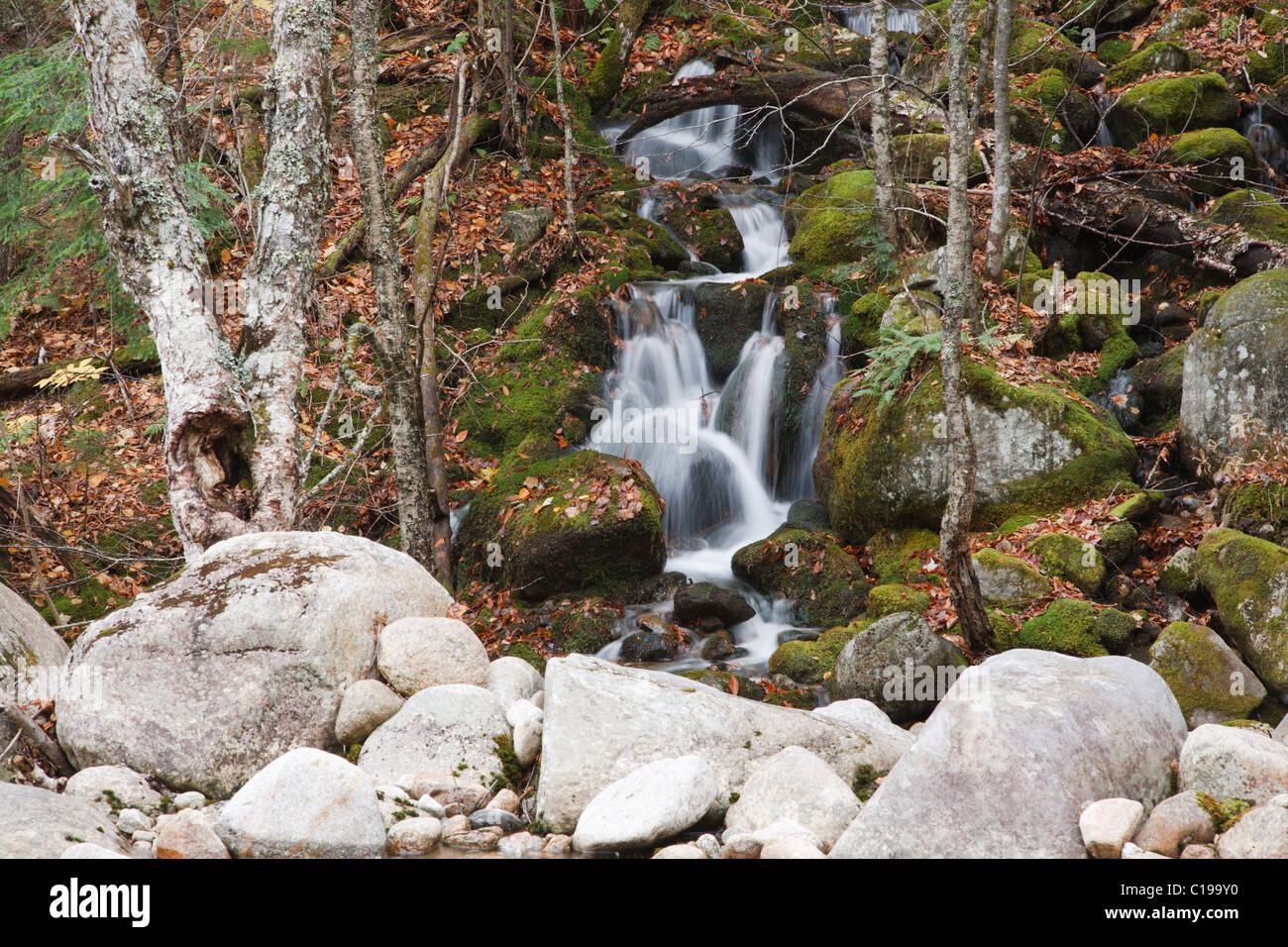 Whiteface mountain wilderness hires stock photography and images Alamy