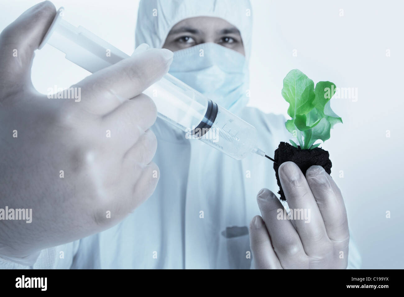 Chemist injecting a chemical substance into the topsoil of a plant Stock Photo