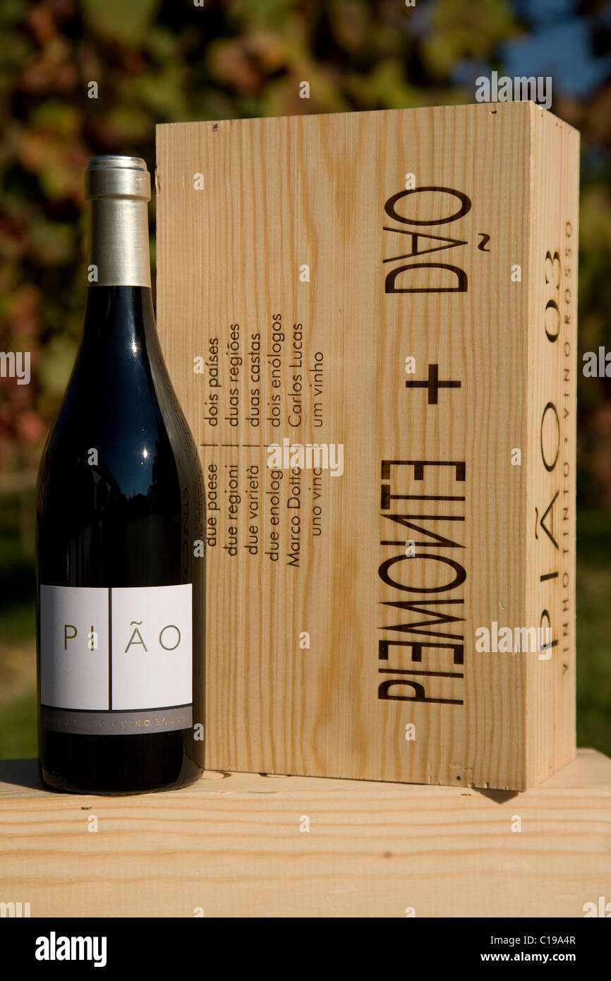 Pião, a red wine blend from Dao and Piemonte, wine from the Dao Sul company, oenologist Carlos Lucas, Carregal do Sal, Dão Stock Photo