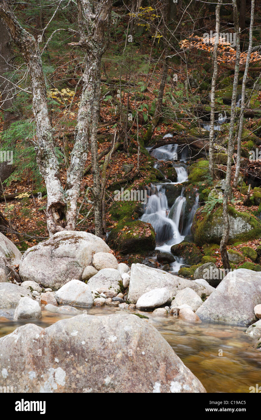 Sandwich Range Wilderness Tributary of Whiteface River along Flat