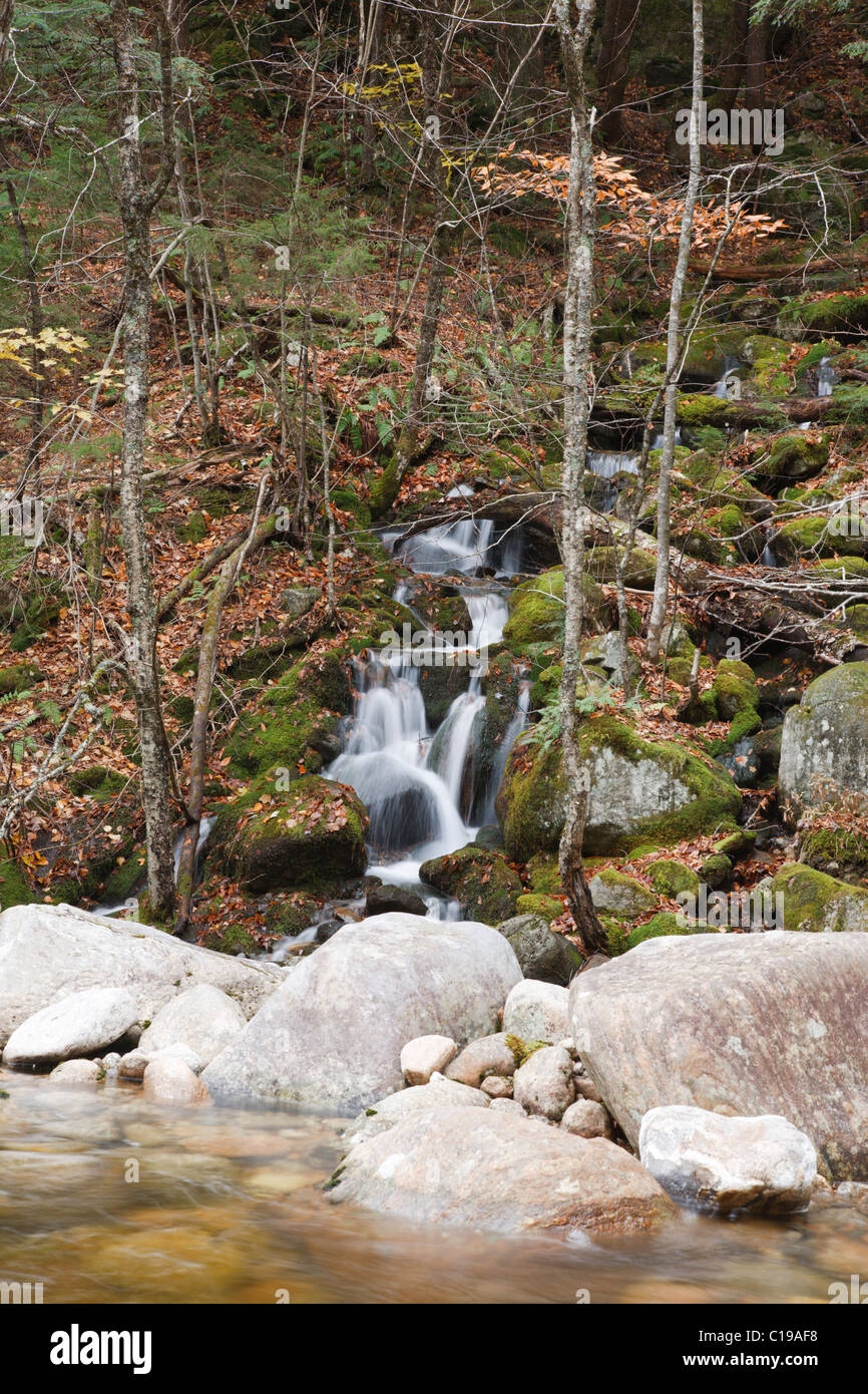 Sandwich Range Wilderness Tributary of Whiteface River along Flat
