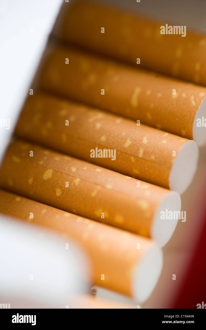 Cigarettes in an open cigarette packet, detail, close-up Stock Photo