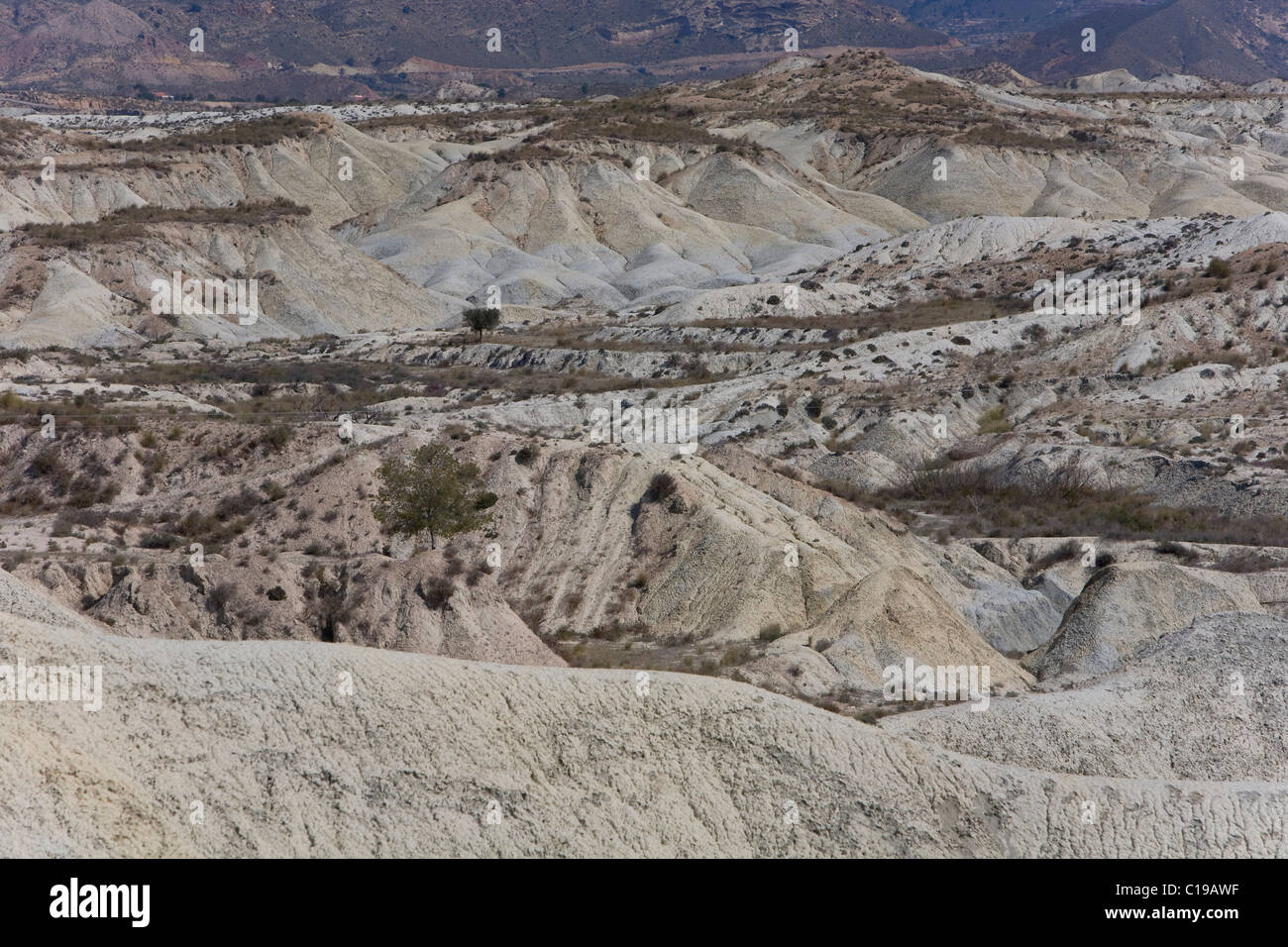 Desert landscape near Abanilla, Murcia Region, Spain, Europe Stock Photo