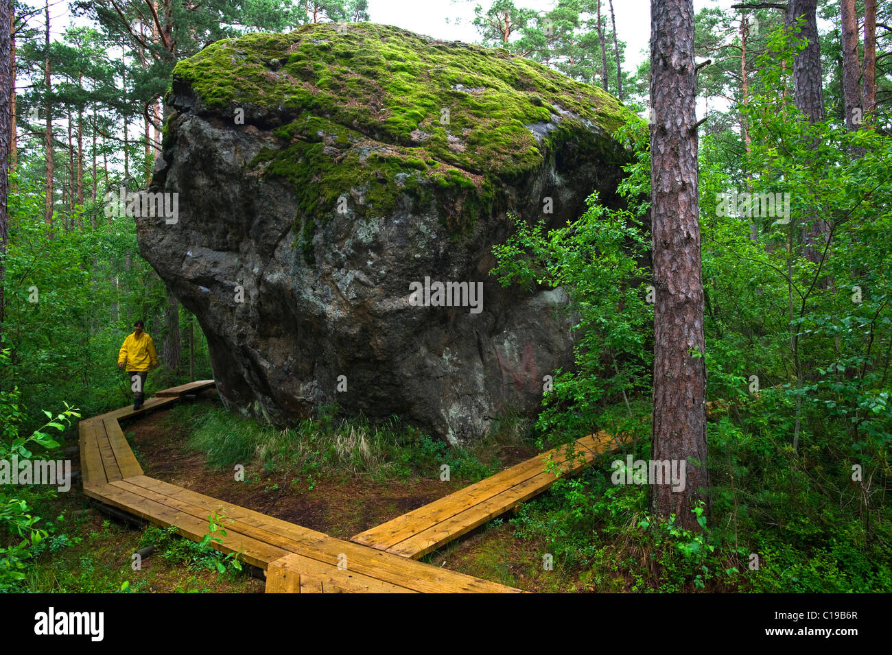 Boulder rock, Majakivi, Aabla Raba, jungle in Lahemaa National park, Estonia, Baltic States, Europe Stock Photo