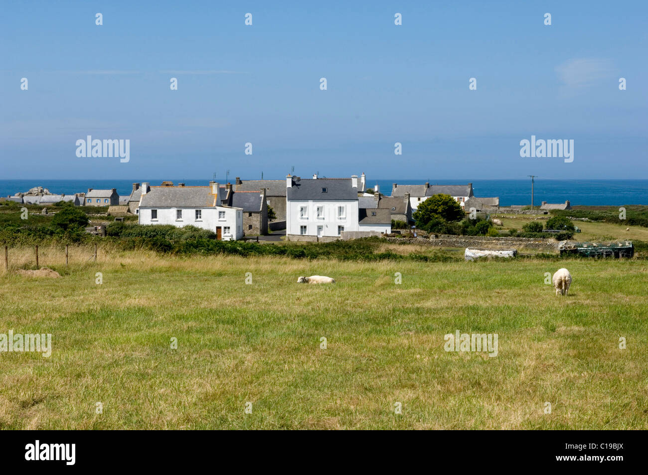 Characteristic houses, Ile d'Ouessant Island, Bretagne, France, Europe Stock Photo