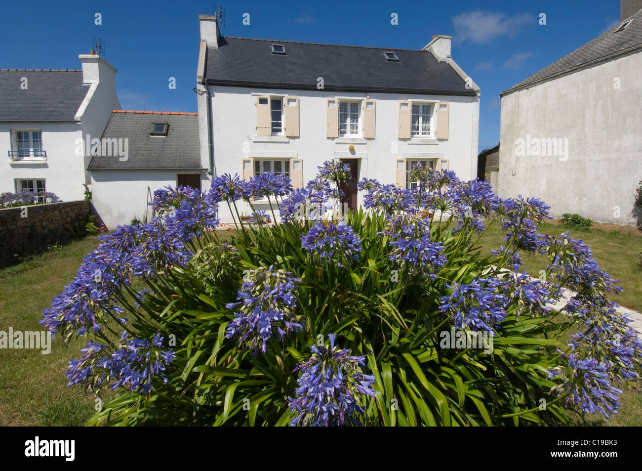 Characteristic house, Ile d'Ouessant Island, Bretagne, France, Europe Stock Photo