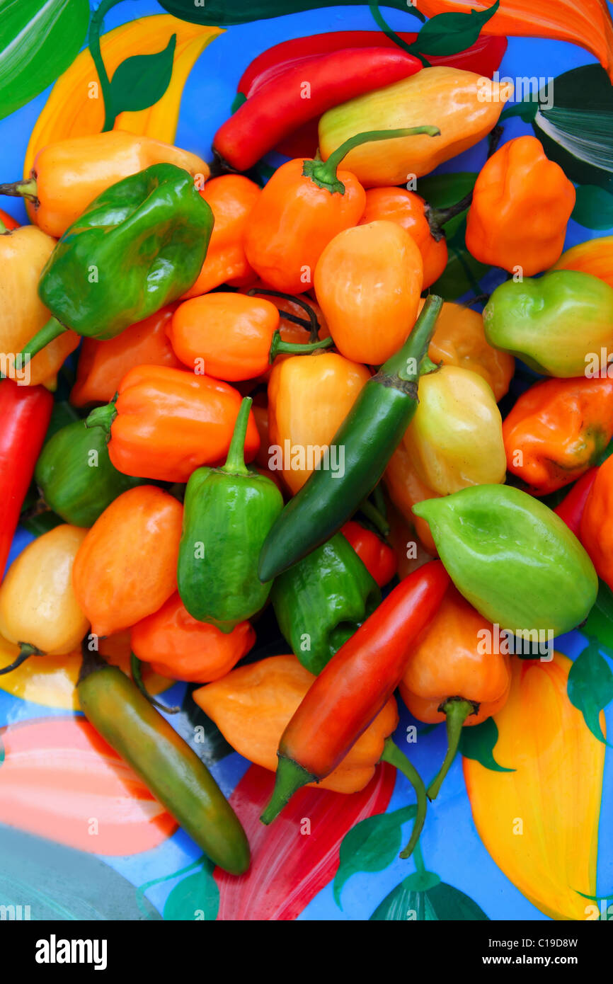 chili Habanero and Serrano hot mexican peppers colorful dish Stock Photo