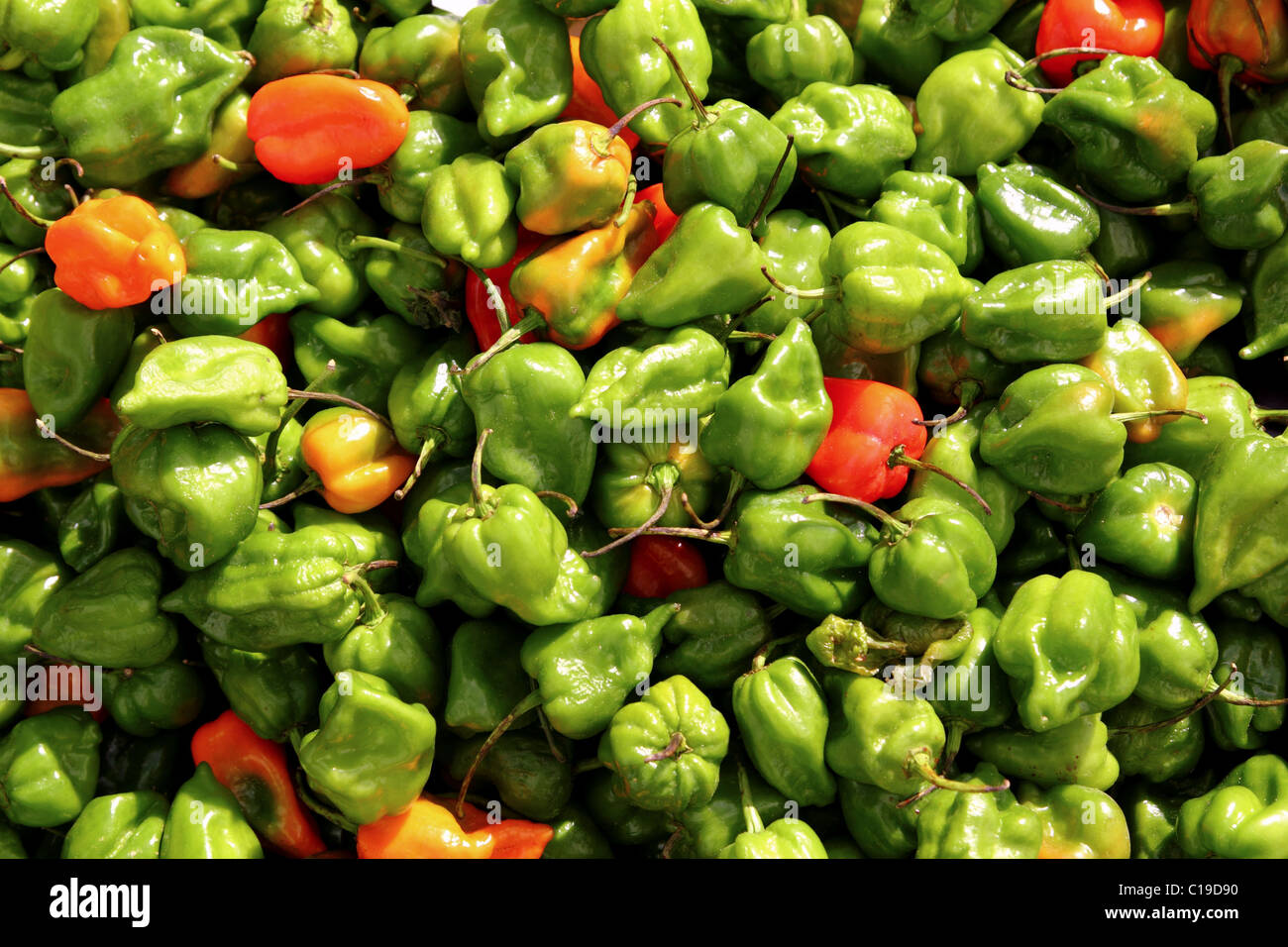 chili habanero hottest pepper in Mexico market pattern Stock Photo Alamy