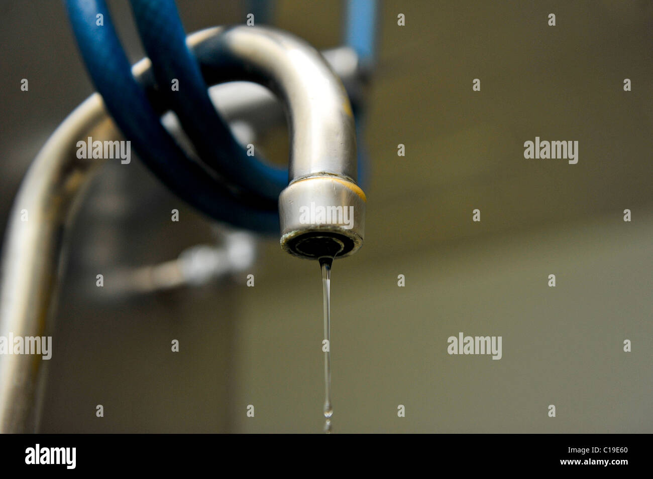 Dripping Mixer Tap Stock Photo Alamy   Dripping Mixer Tap C19E60 