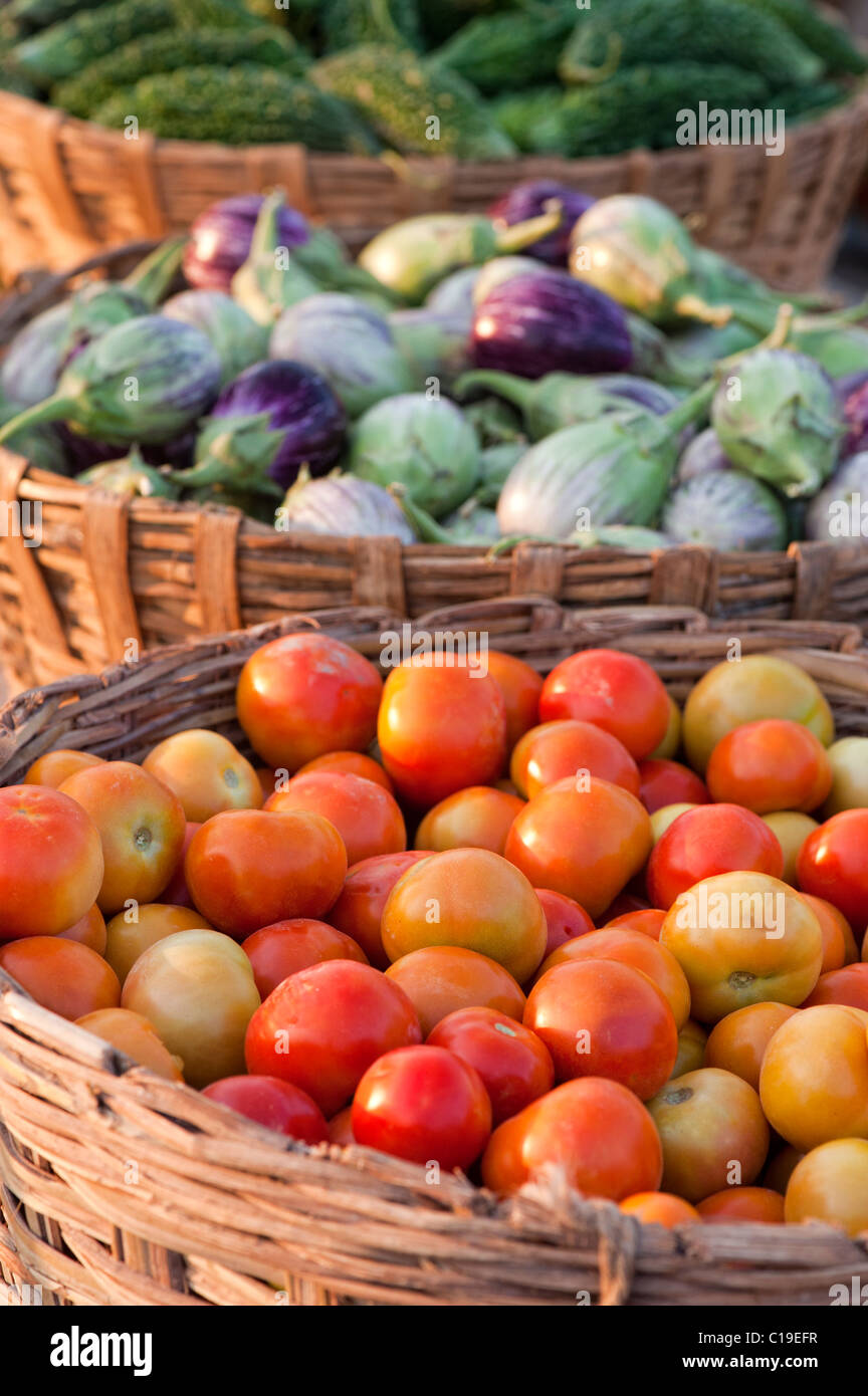 Aubergines / Eggplant , Tomatoes and Bitter gourd in baskets at an Indian market. Andhra Pradesh, India Stock Photo