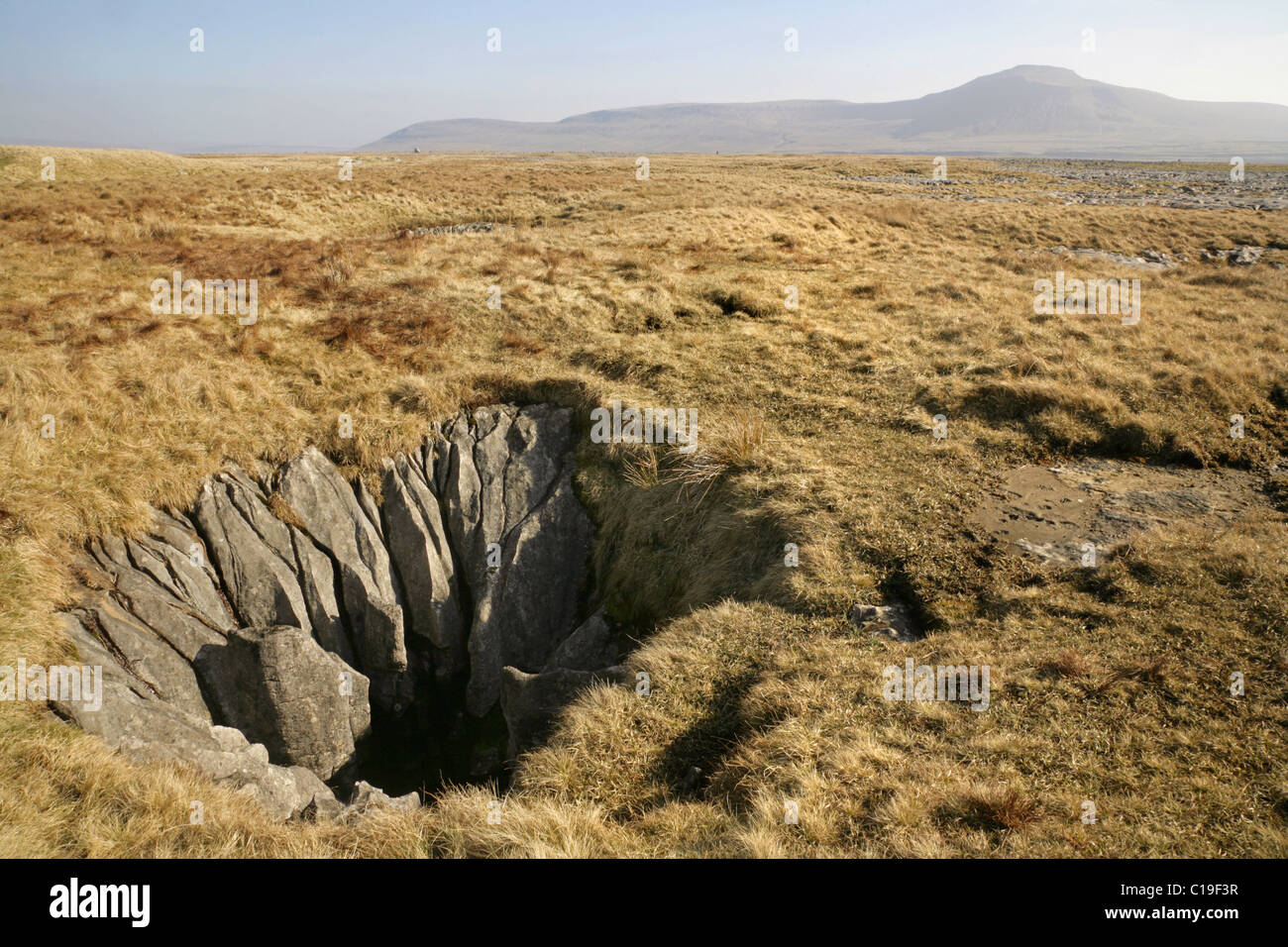 Sink hole with Ingleborough in the distance. Yorkshire Dales, UK. Stock Photo