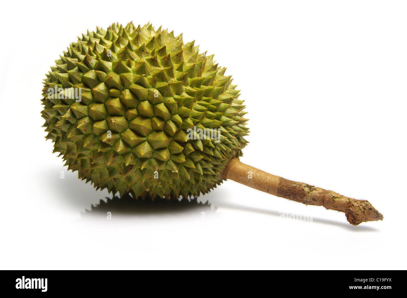 Thorny fruit hi-res stock photography and images - Alamy