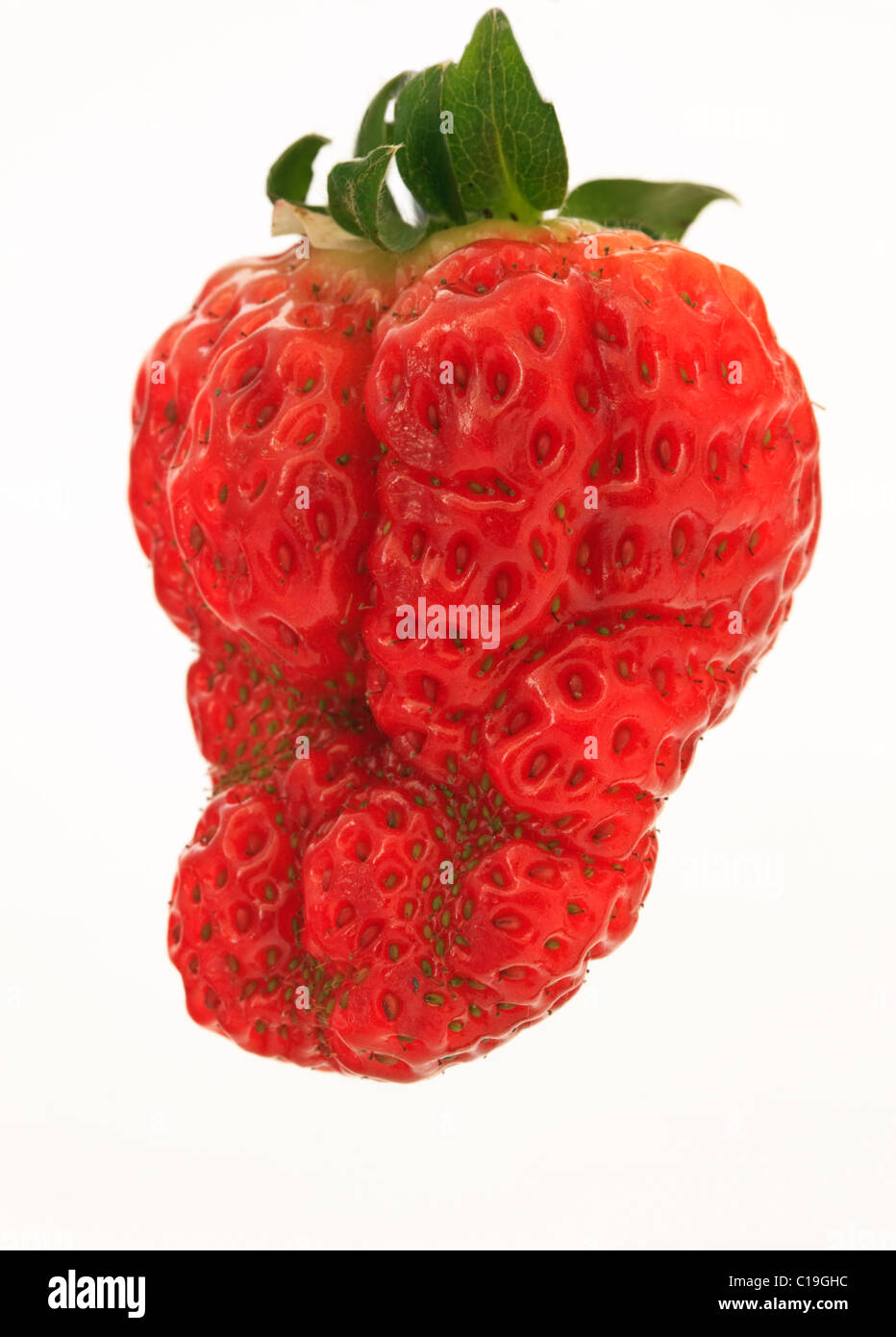 Studio still life. Close-up of one misshapen fresh Strawberry on a white background Stock Photo