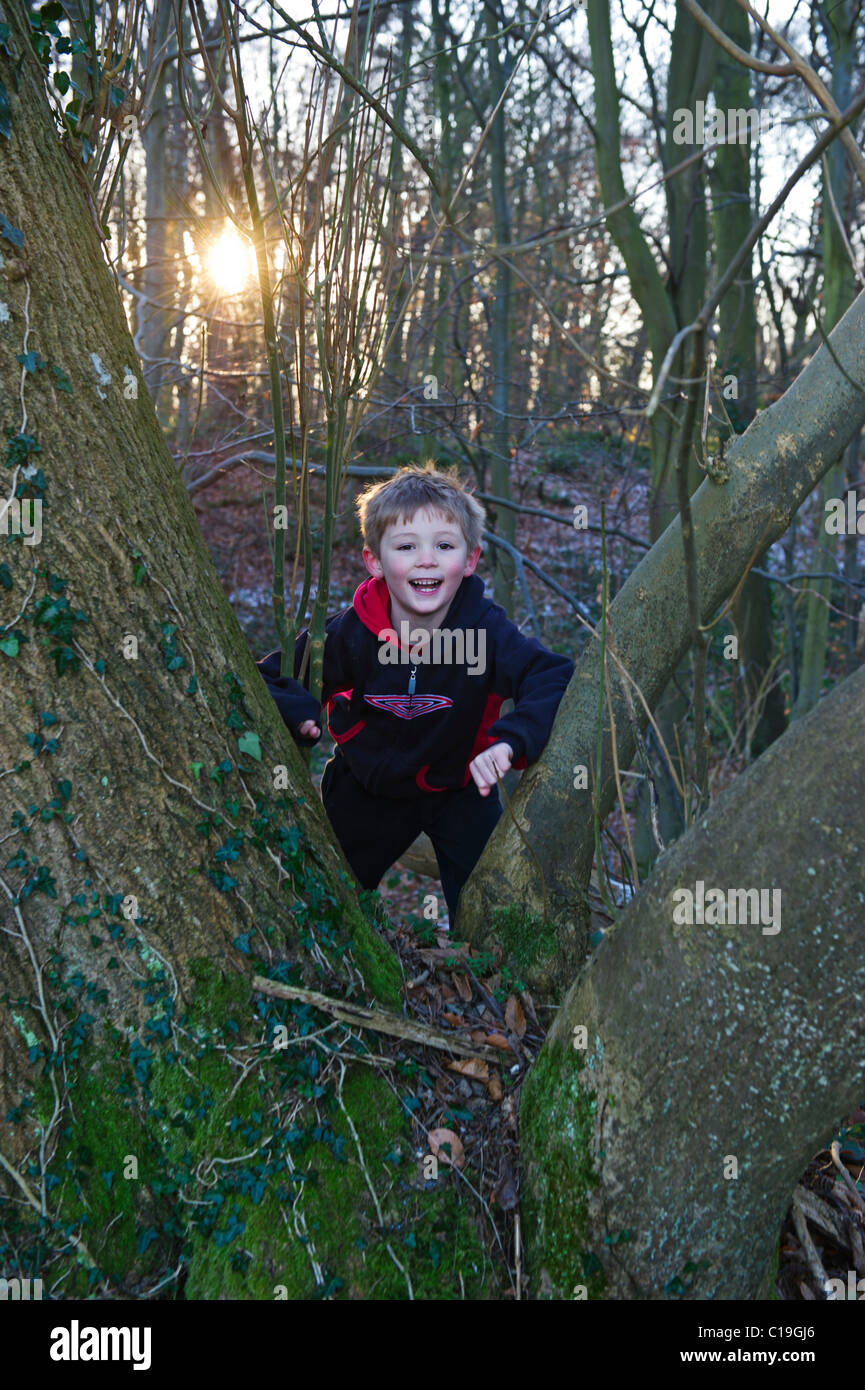 Young boy playing in woodland in winter Norfolk December Stock Photo