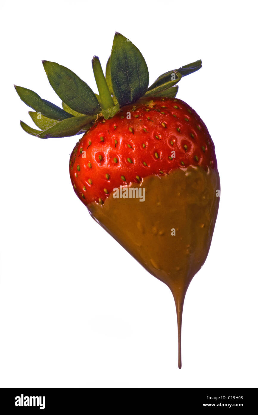 Strawberry dipped in chocolate on white background Stock Photo