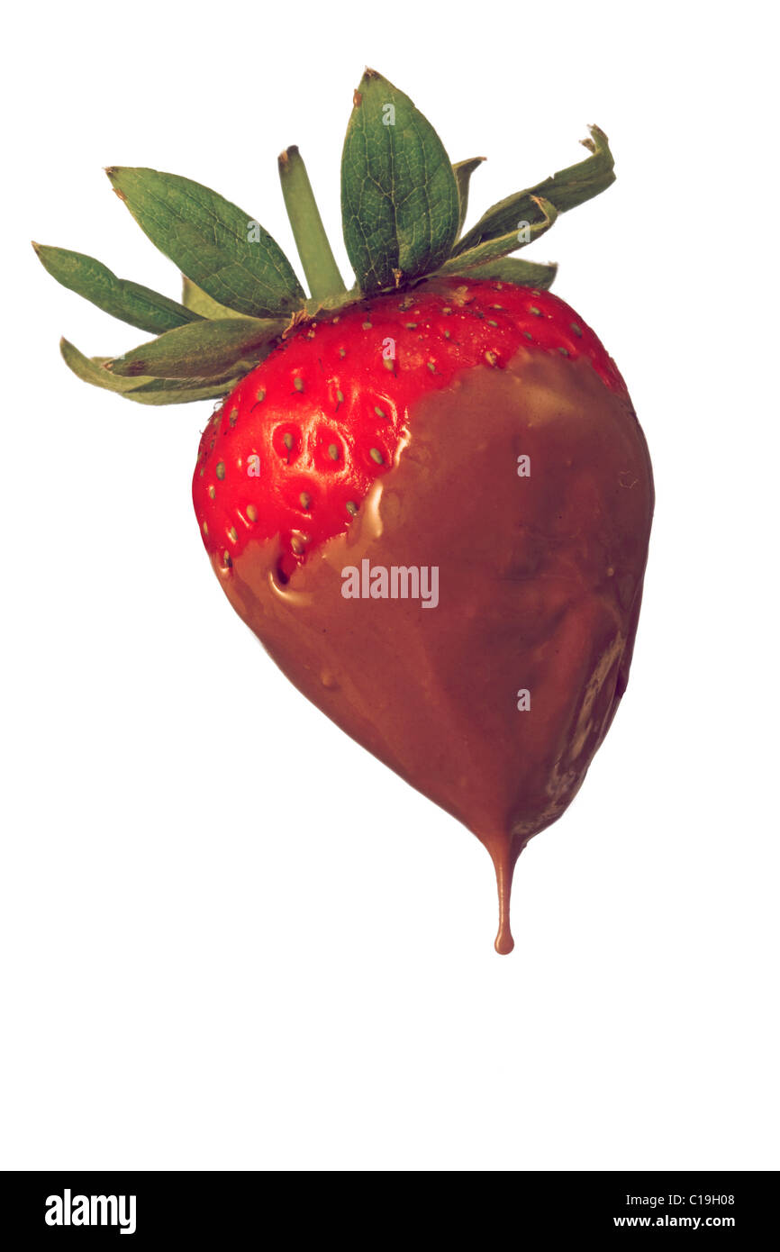 Strawberry dipped in chocolate on white background Stock Photo Alamy