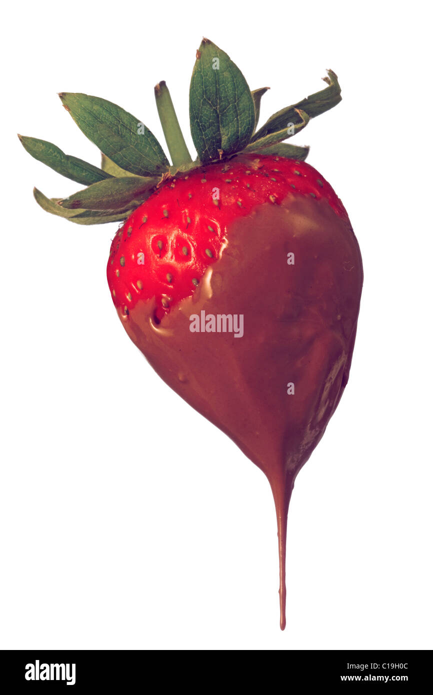 Strawberry dipped in chocolate on white background Stock Photo