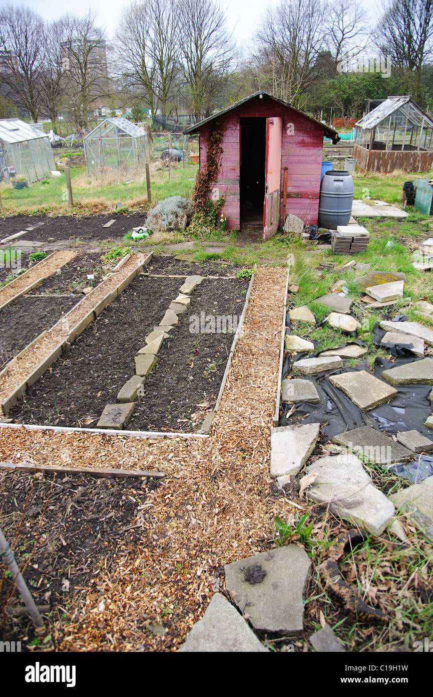 Allotment garden with pink shed Stock Photo