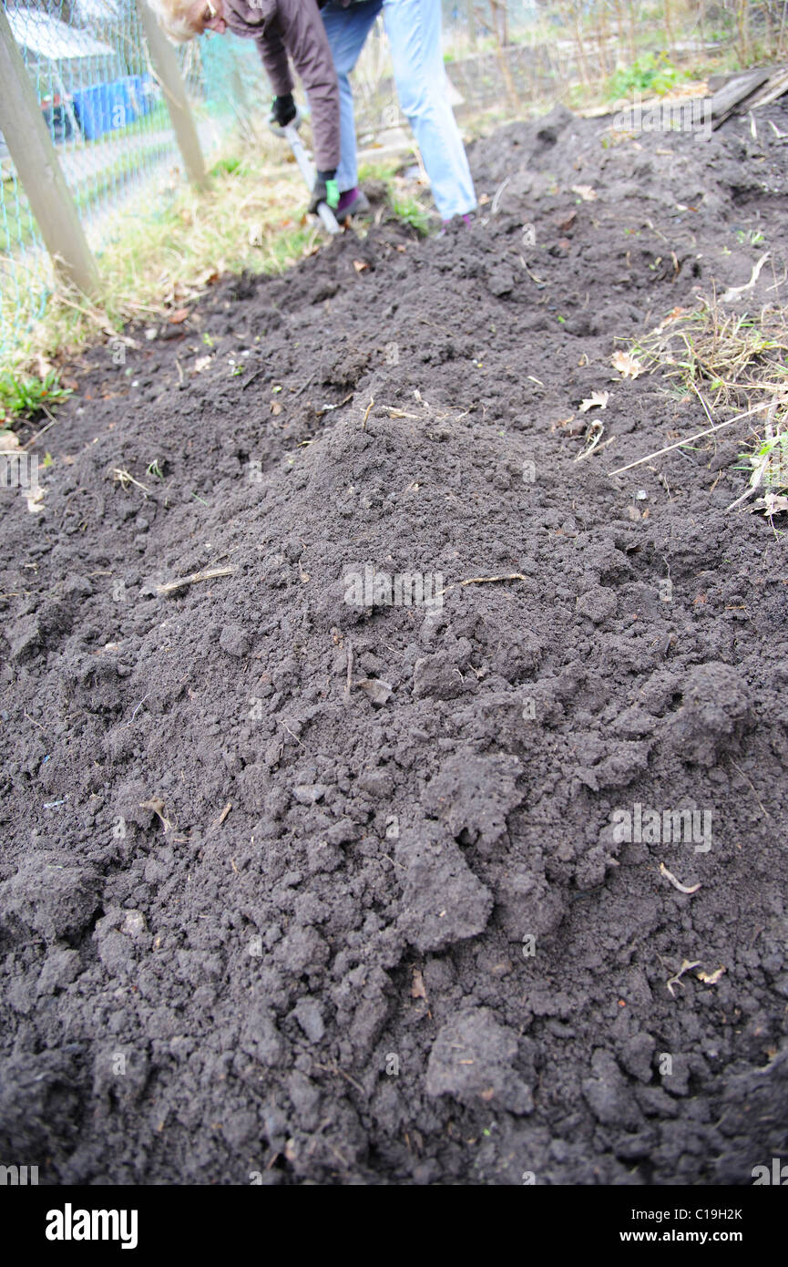 Digging and preparing the plot for sowing is back breaking work. Stock Photo