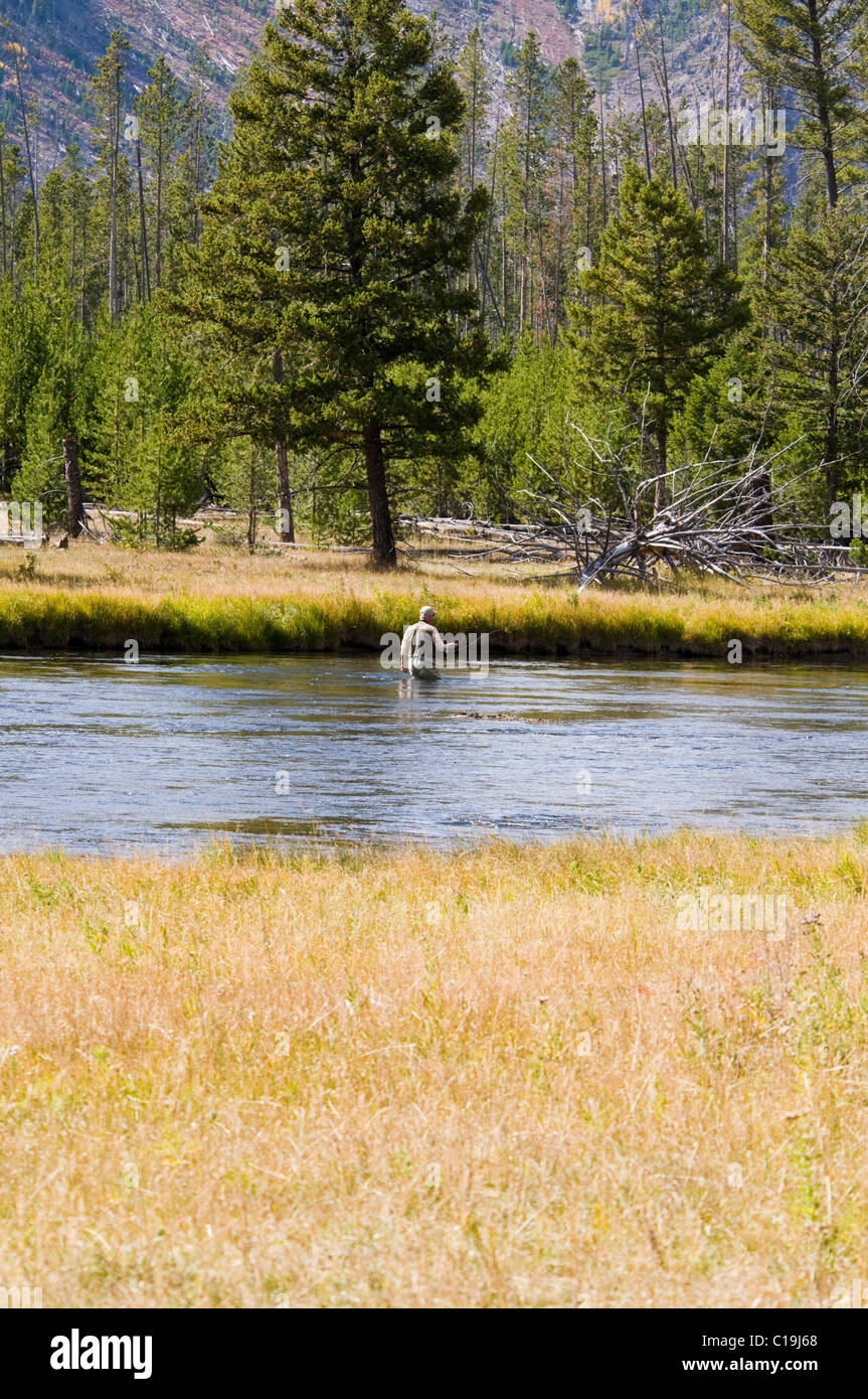 Fly Fishing,on Firehole River & Canyon, Firehole Canyon Drive, Madison
