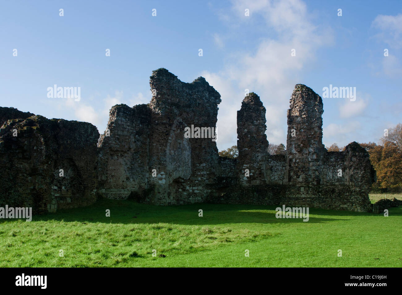 Part of ruins of Waverley Abbey, Near Farnham, Surrey Stock Photo