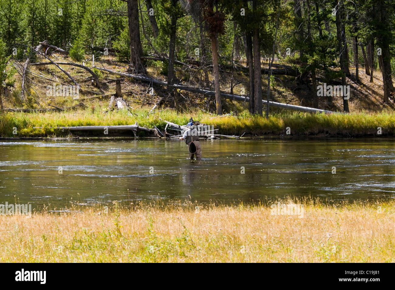 Fly Fishing,on Firehole River & Canyon, Firehole Canyon Drive, Madison