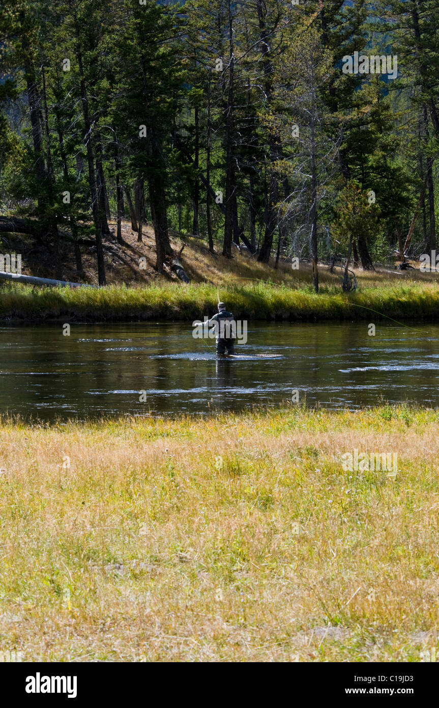 Fly Fishing,on Firehole River & Canyon, Firehole Canyon Drive, Madison
