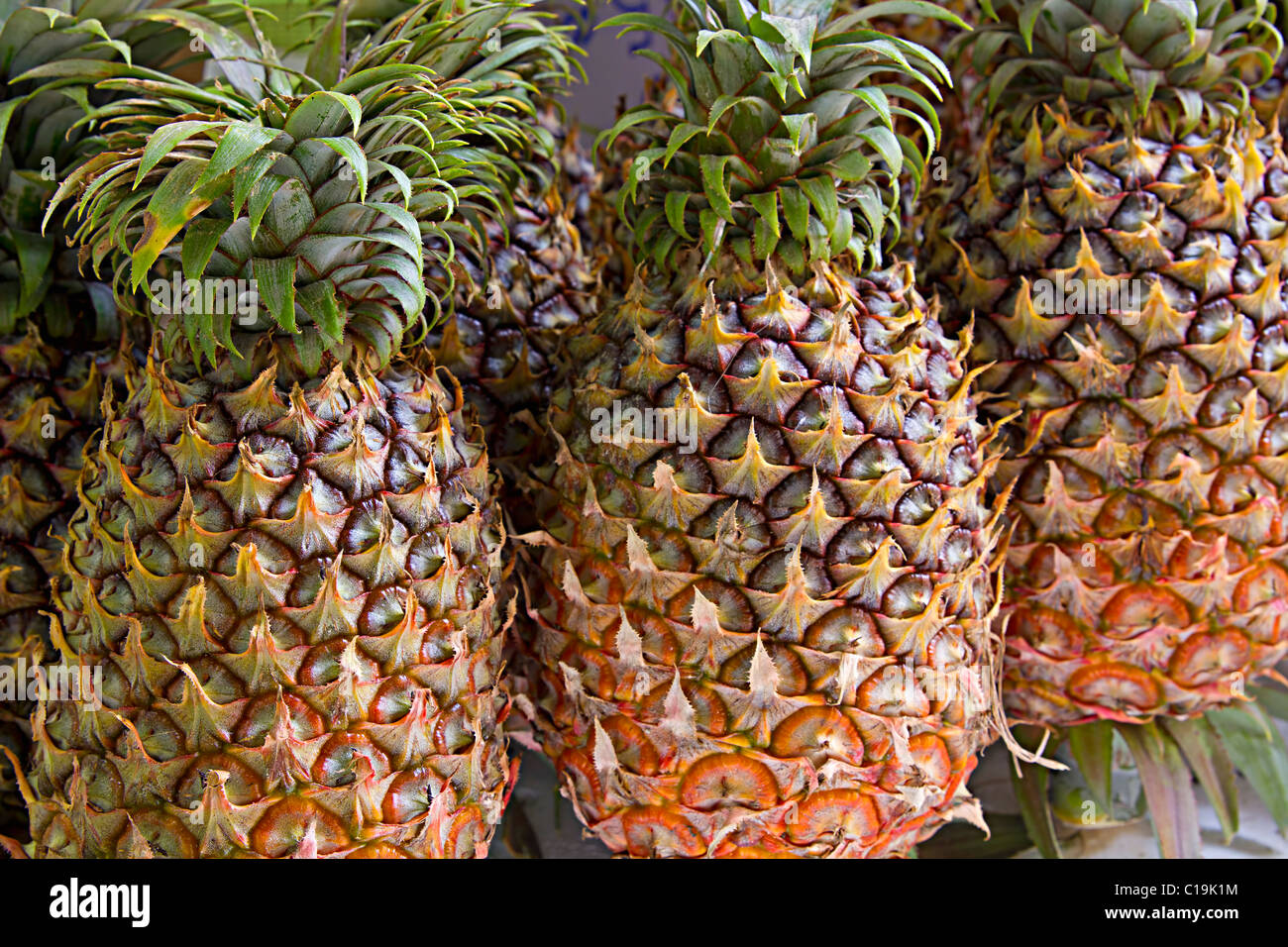 Pineapple vendor hires stock photography and images Alamy