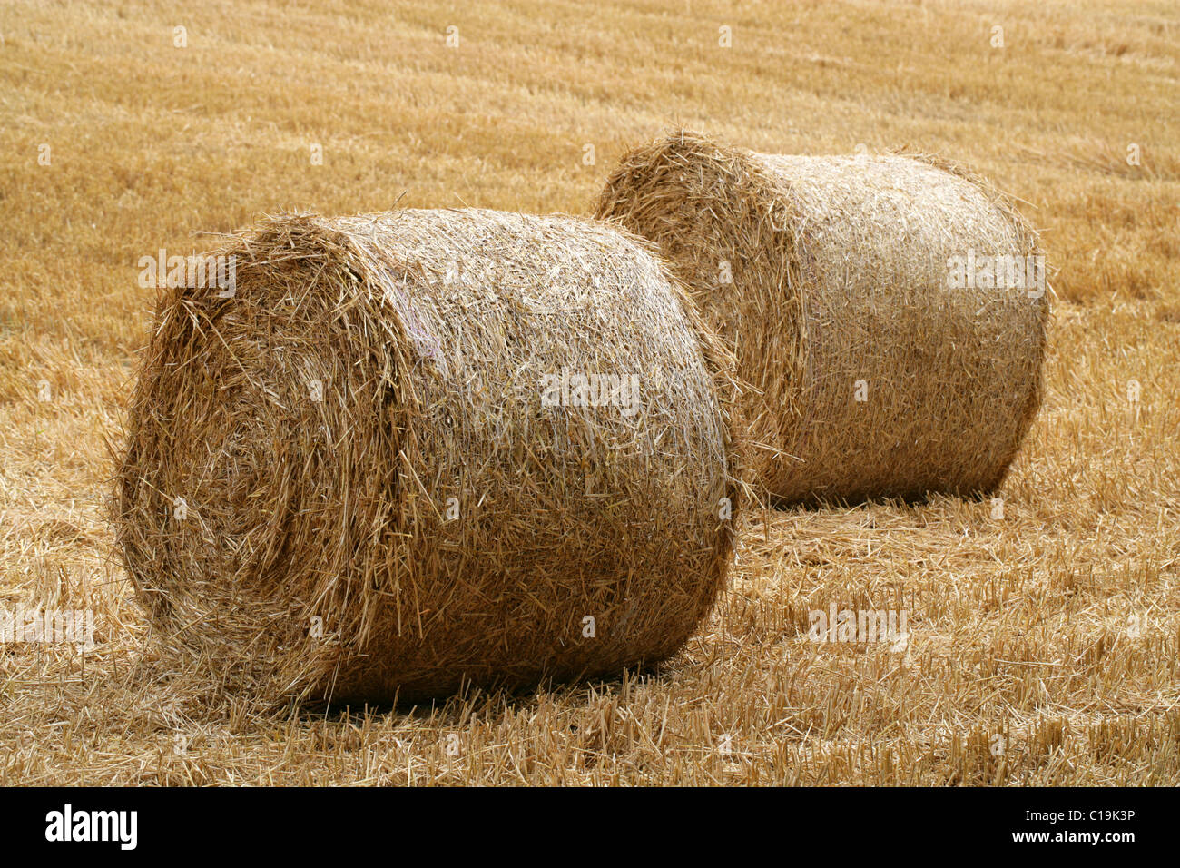 Straw Bales in a Field Stock Photo Alamy