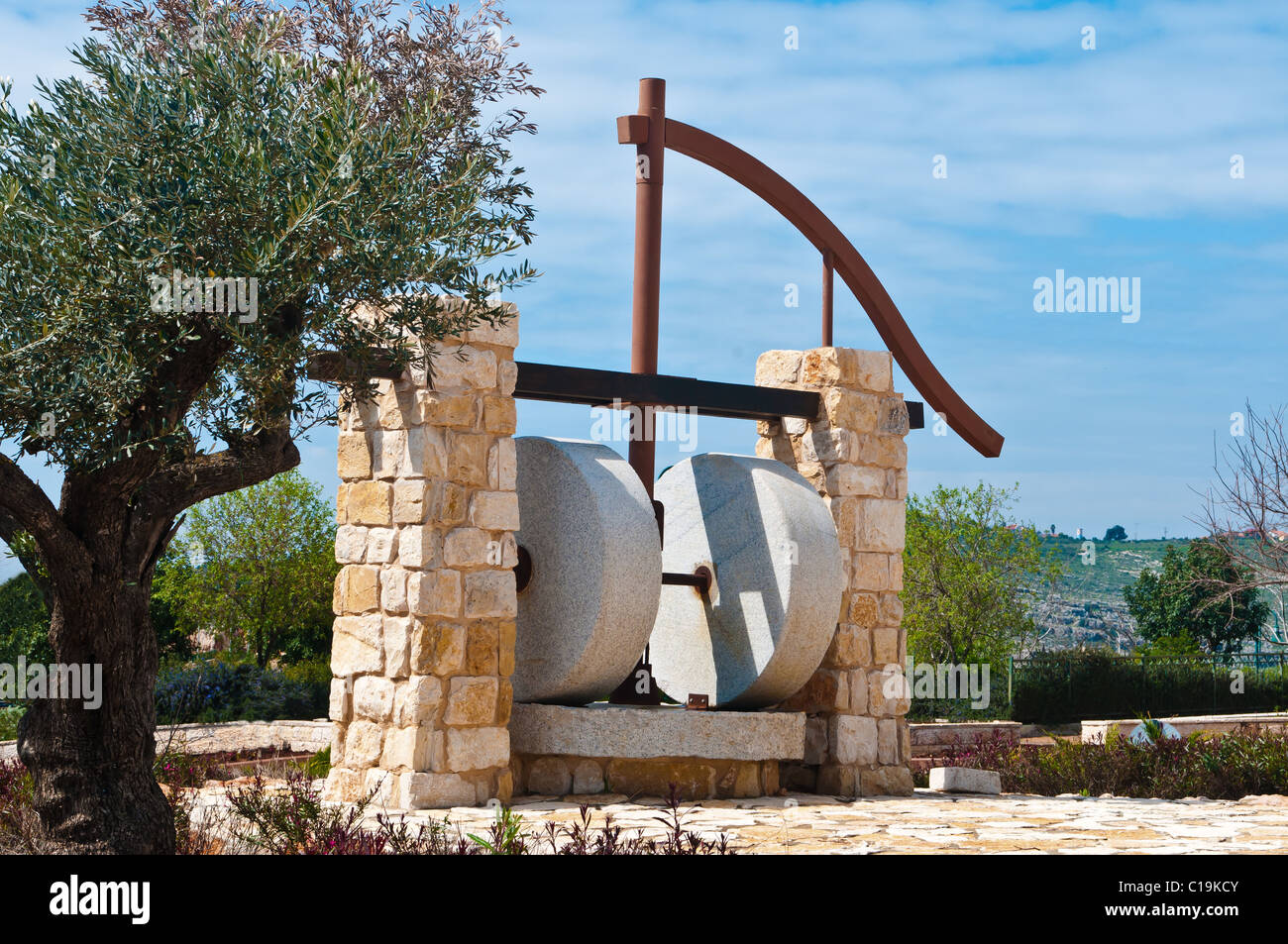 Olive oil press in oil hi-res stock photography and images - Alamy