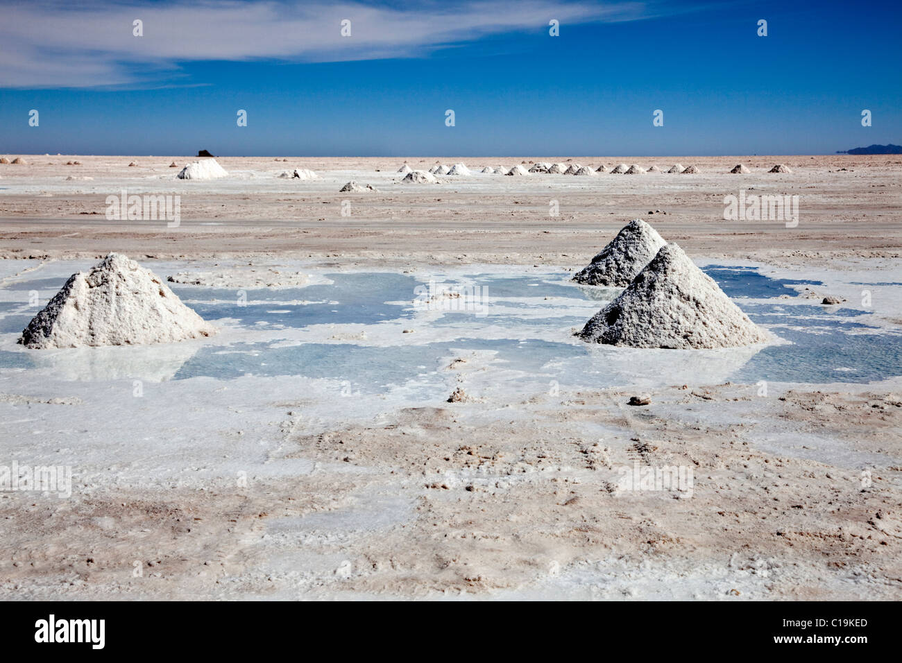 Salt being collected on the Bolivian salt flats at “Salar de Uyuni”, Bolivia, “South America” Stock Photo