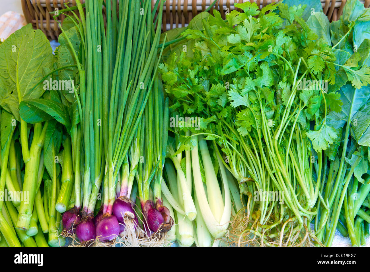 Fresh Organic Vegetables from a local farm Stock Photo