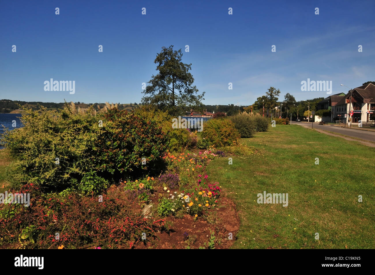 Blue sky view of garden flowers, shrubs, trees and wide expanse of roadside grass, Lake Llanquihue waterfront, Frutillar, Chile Stock Photo