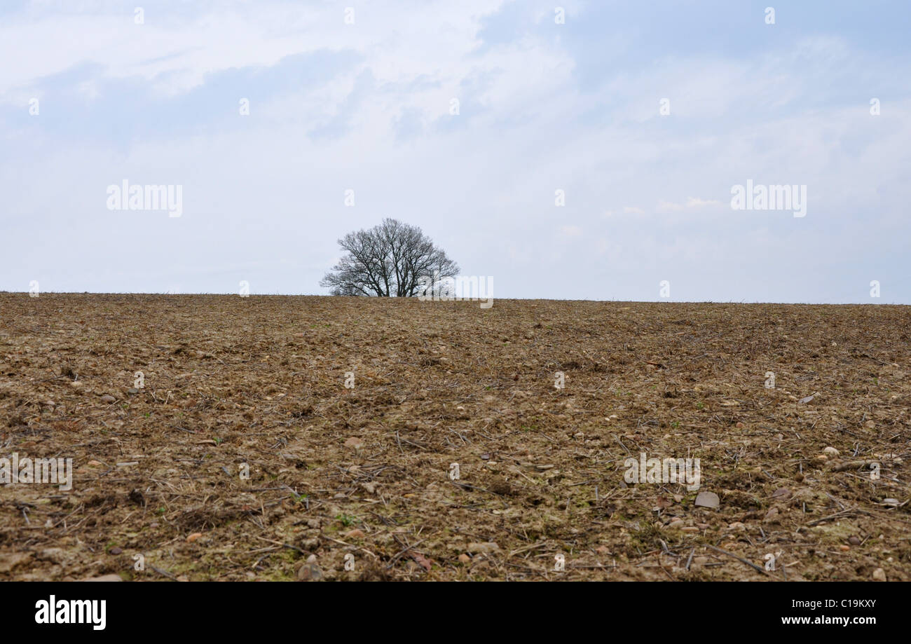 Countryside walk in North Leigh, near Witney, Oxfordshire Stock Photo