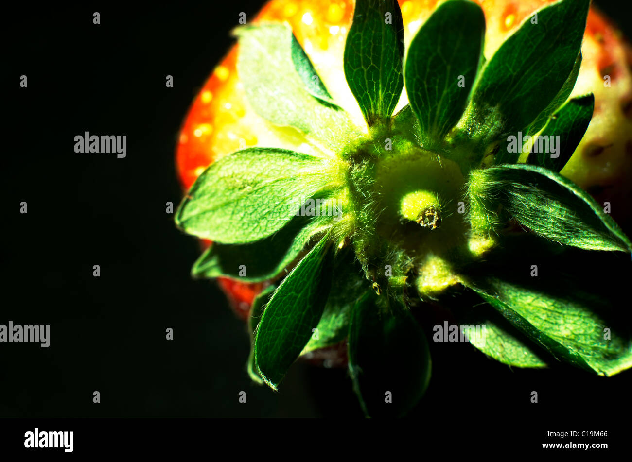 Strawberry stem hi-res stock photography and images - Alamy