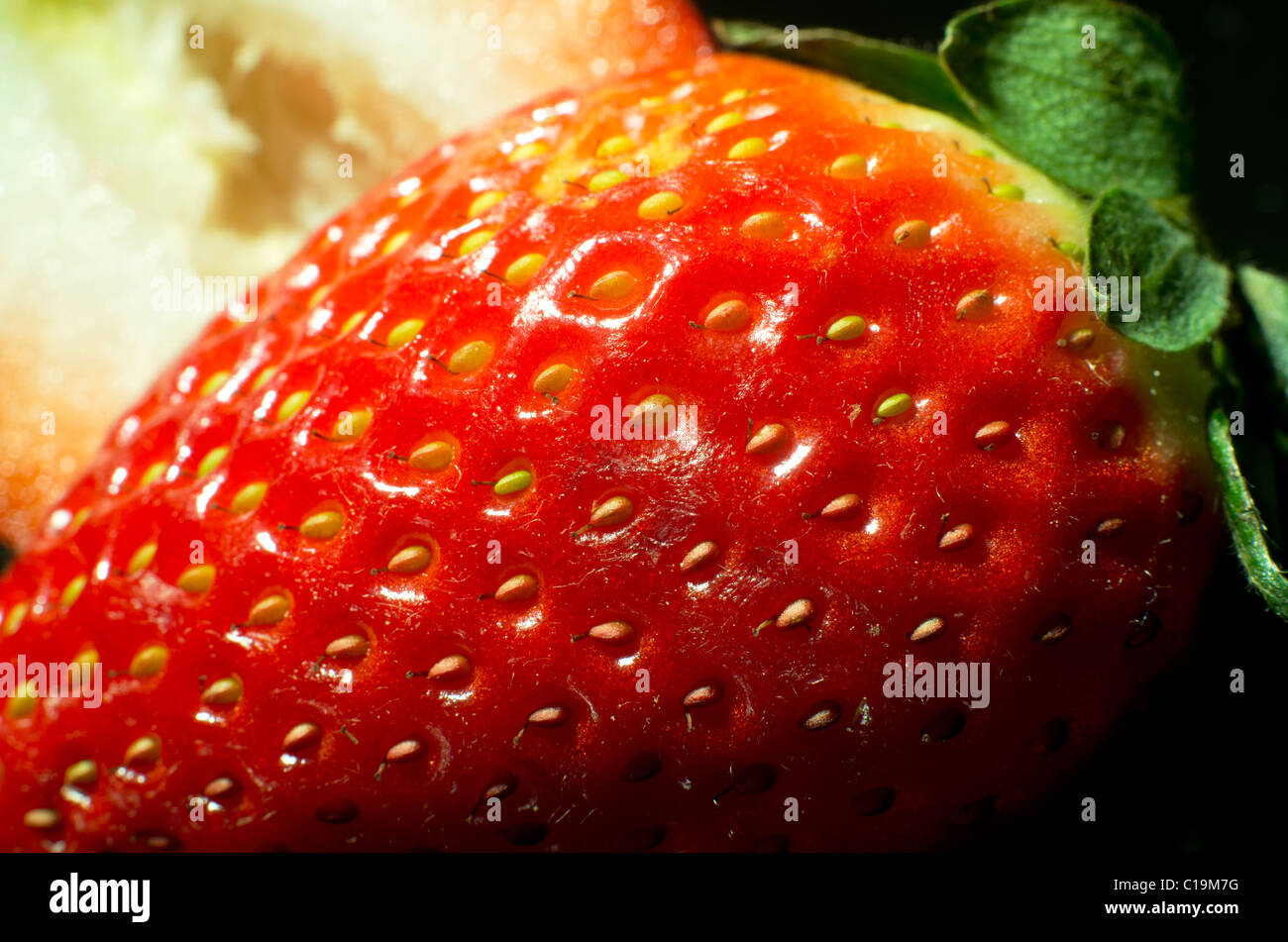 One strawberry shown in an extreme close up (macro Stock Photo - Alamy