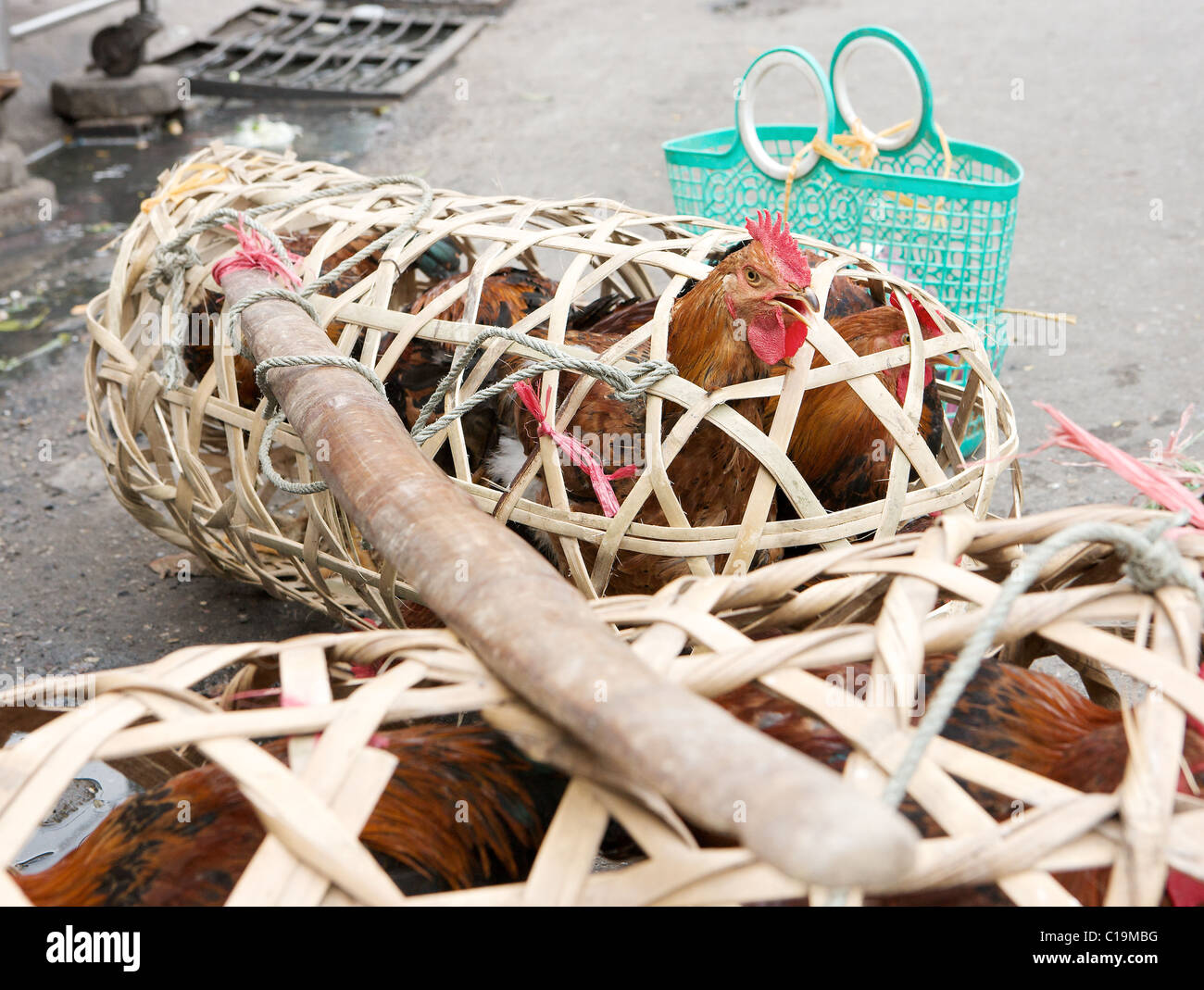 Fresh chickens for sale on the streets of Hanoi, Vietnam Stock Photo