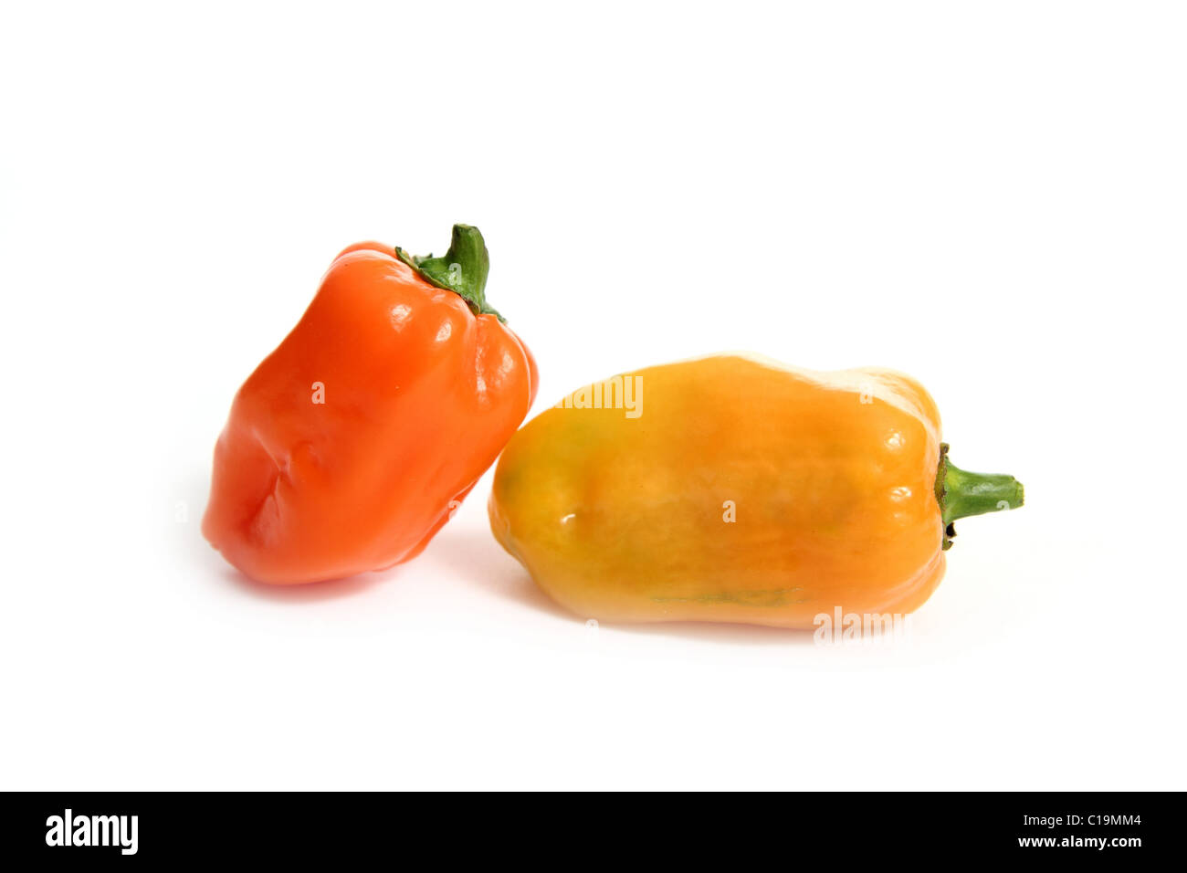 Habanero Capsicum chili hottest pepper in the world from Mexico Stock Photo