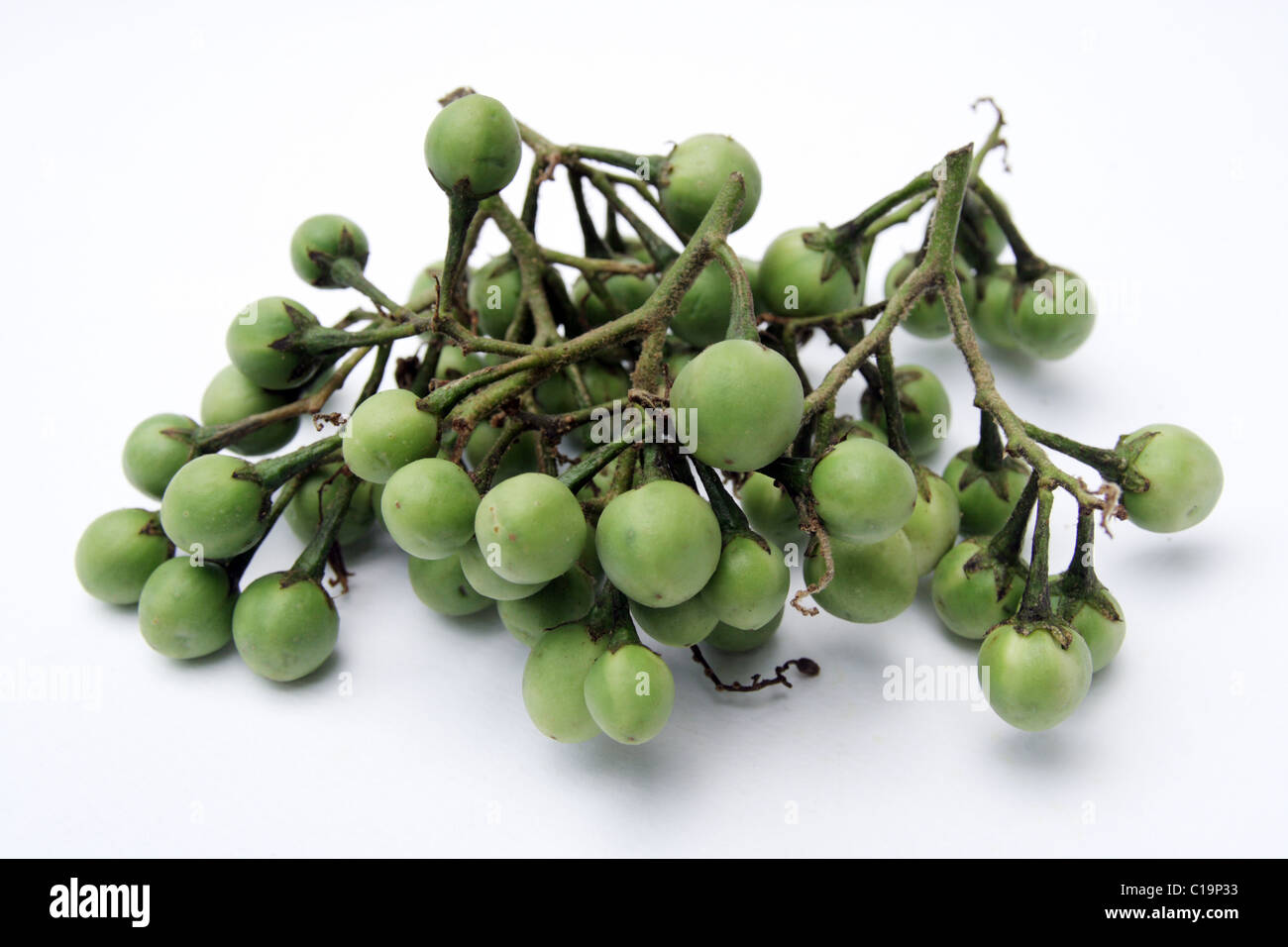 Pea eggplant Stock Photo Alamy