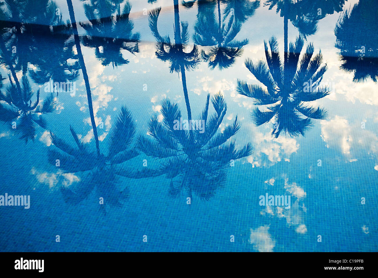 Palm trees in breeze pool hi-res stock photography and images - Alamy