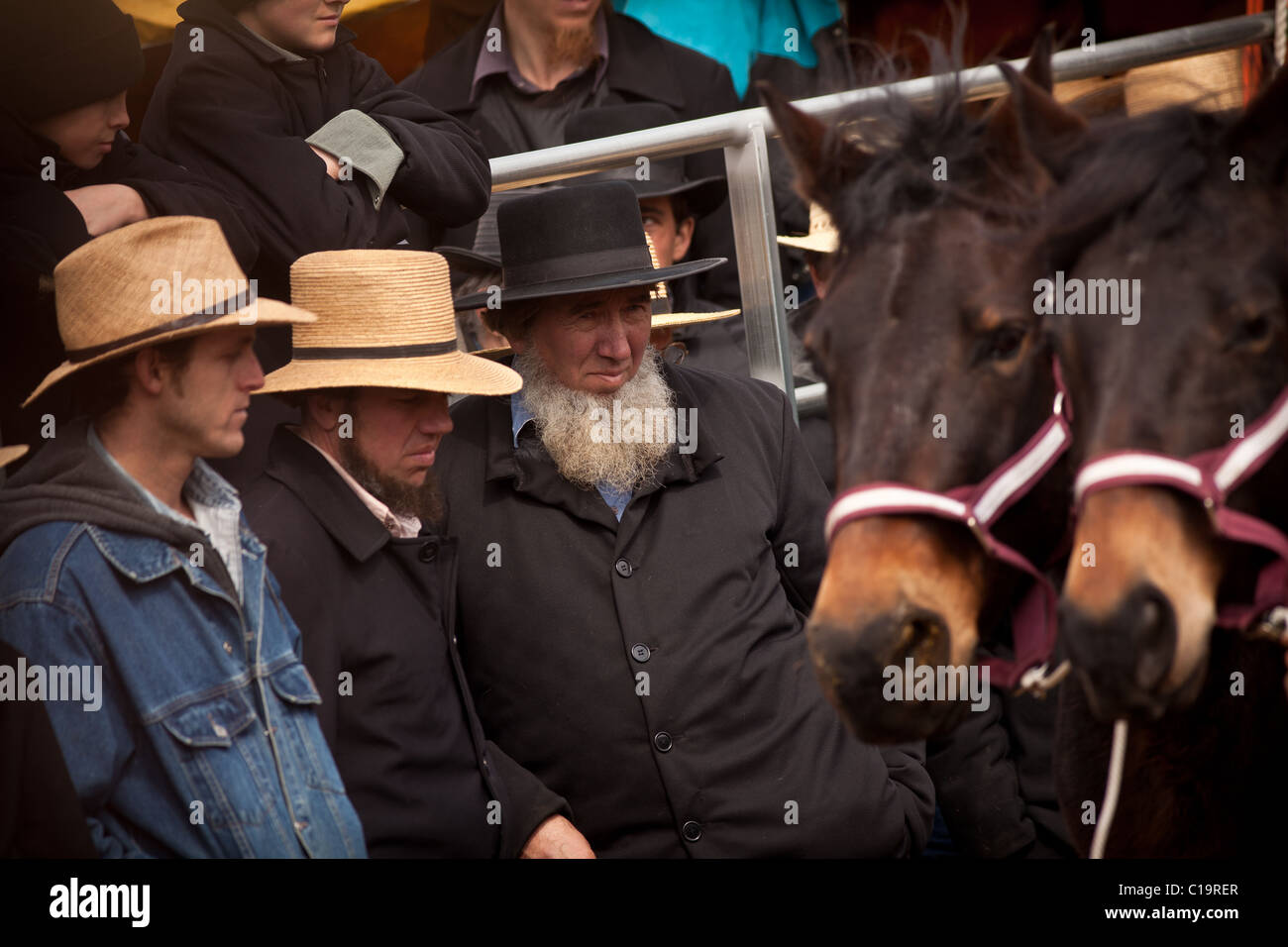 Amish men watch the horse auction during the Annual Mud Sale to support