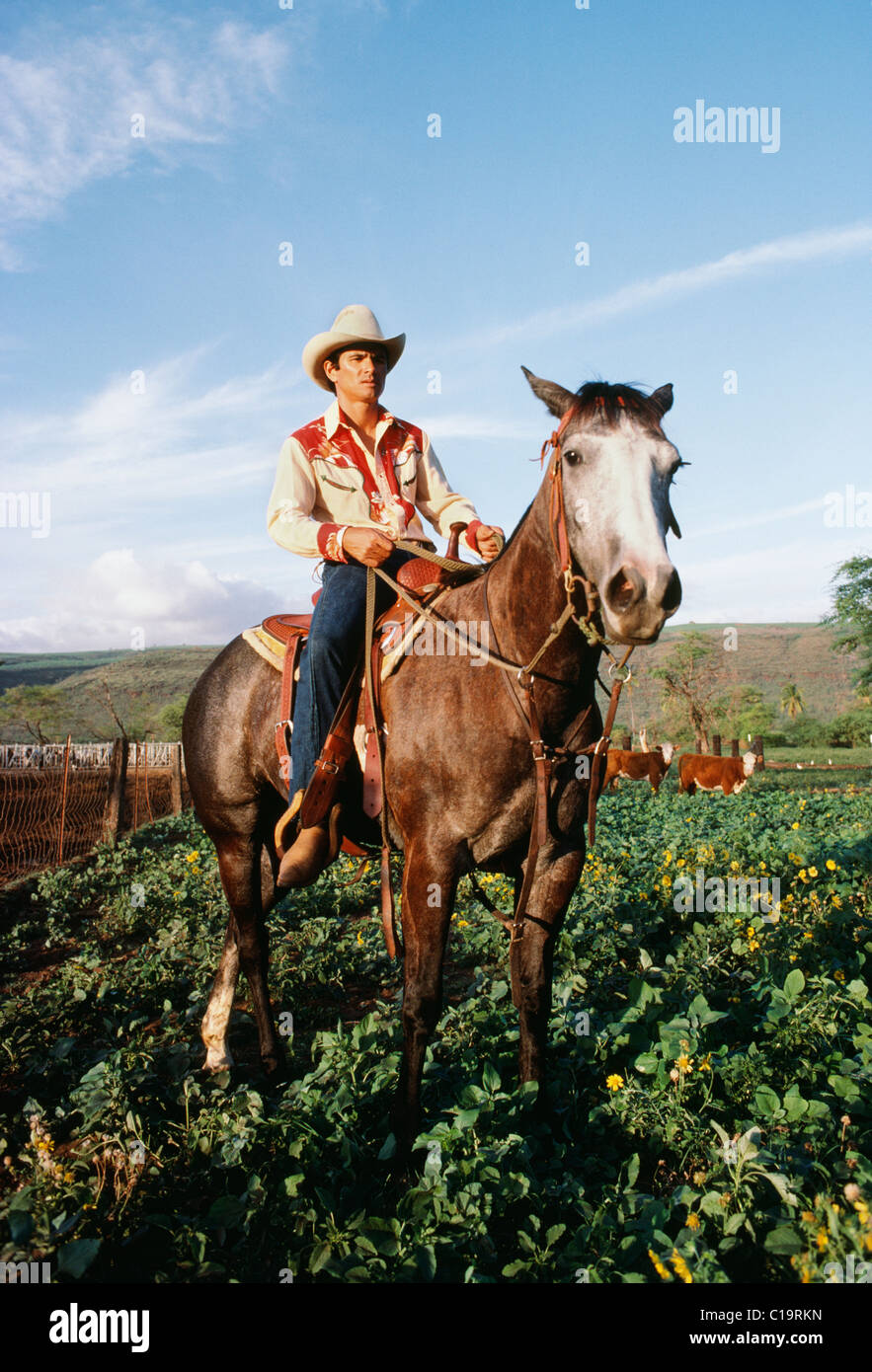 Hawaiian paniolo, Kauai, Hawaii Stock Photo Alamy