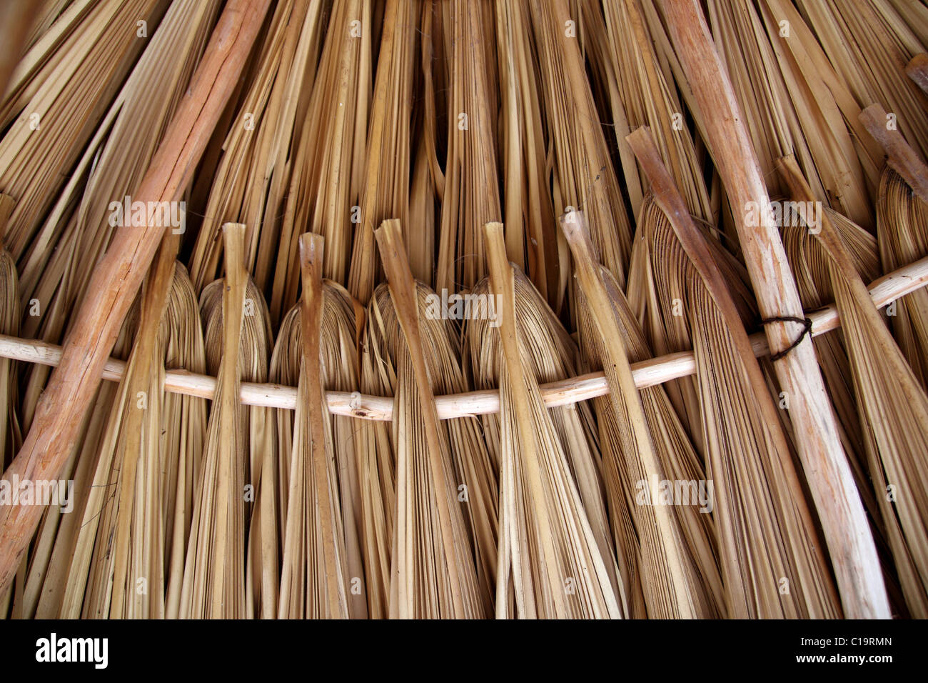 Palm tree leaves in sunroof palapa hut traditional roofing in Mexico Stock Photo