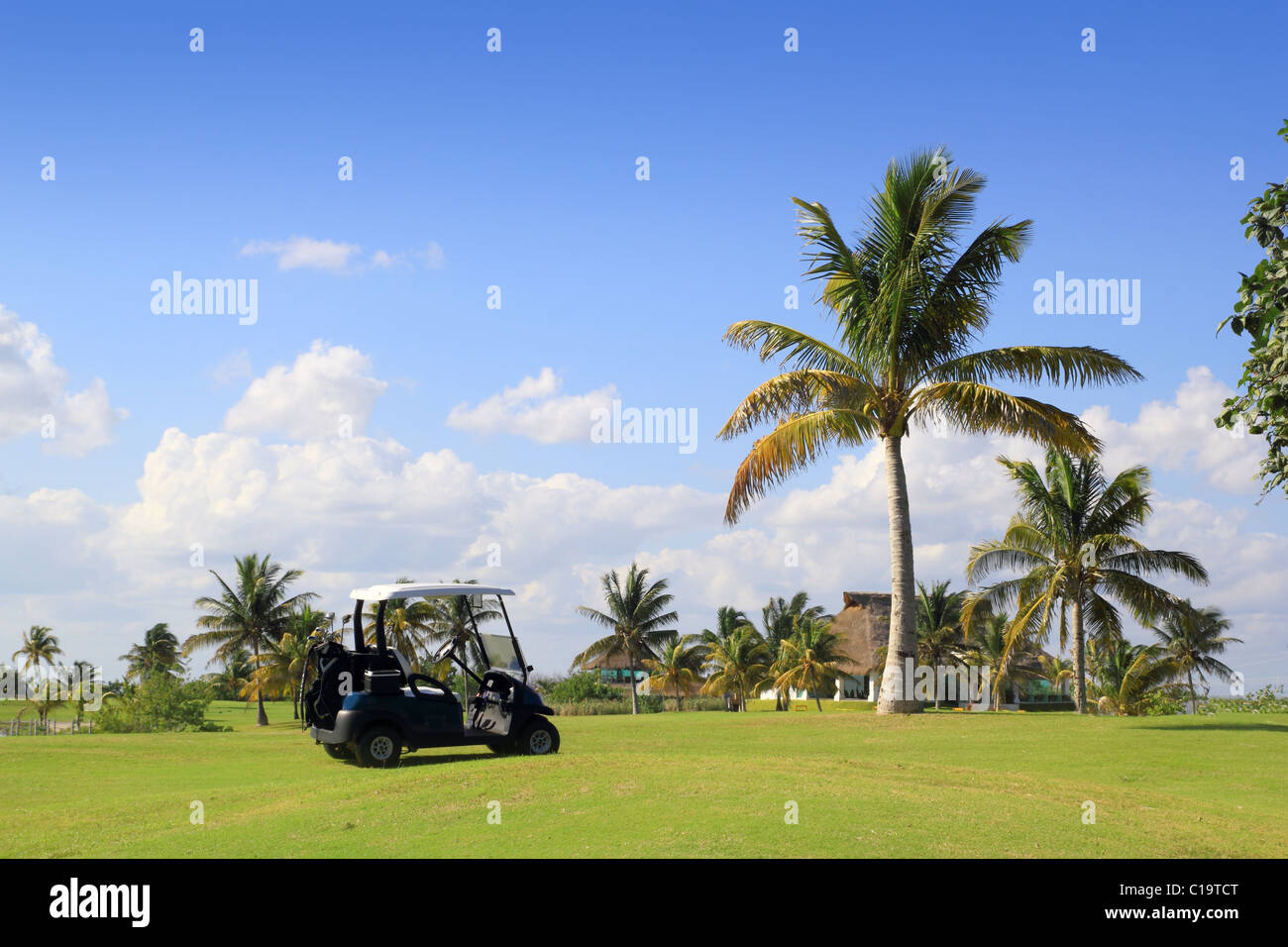 golf course tropical palm trees in mayan riviera Mexico Stock Photo - Alamy