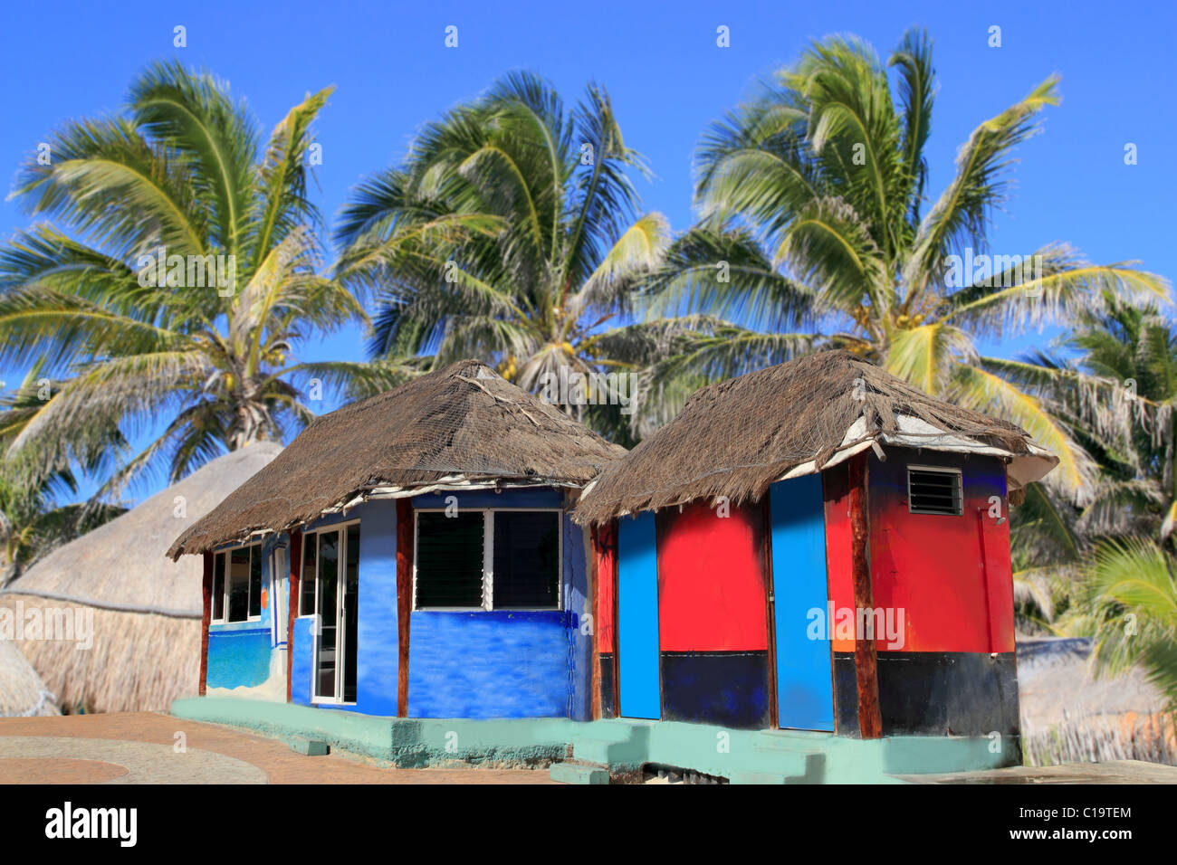 hut palapa colorful with tropical cabin and palm trees Stock Photo